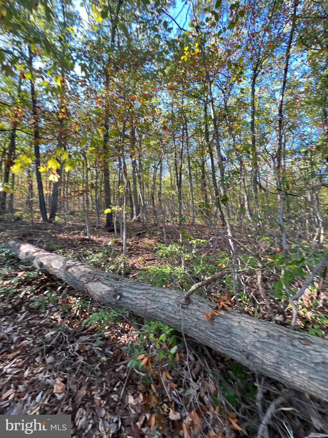 WILD ACRES - Land
