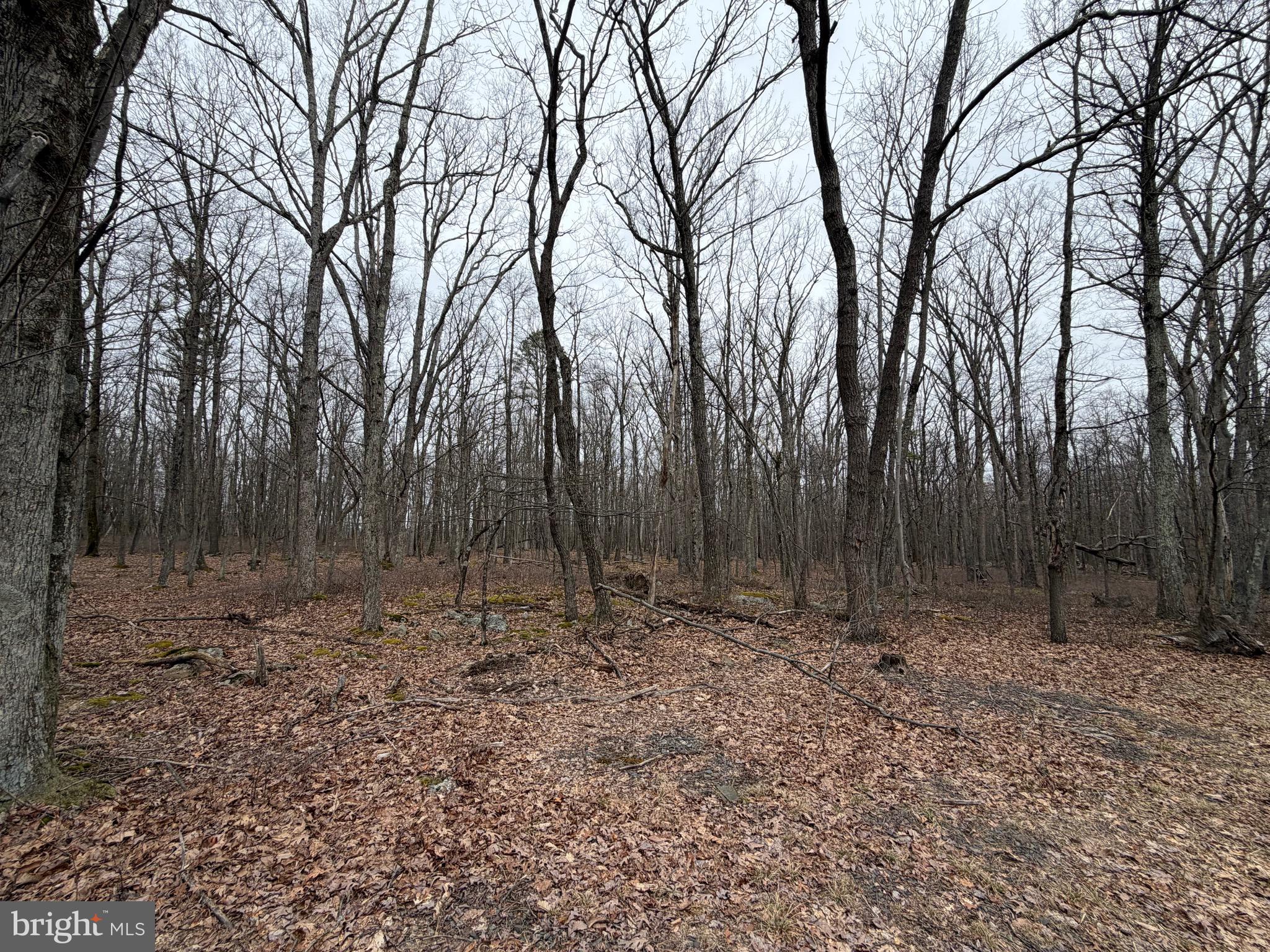 COVE VILLAGE - Land