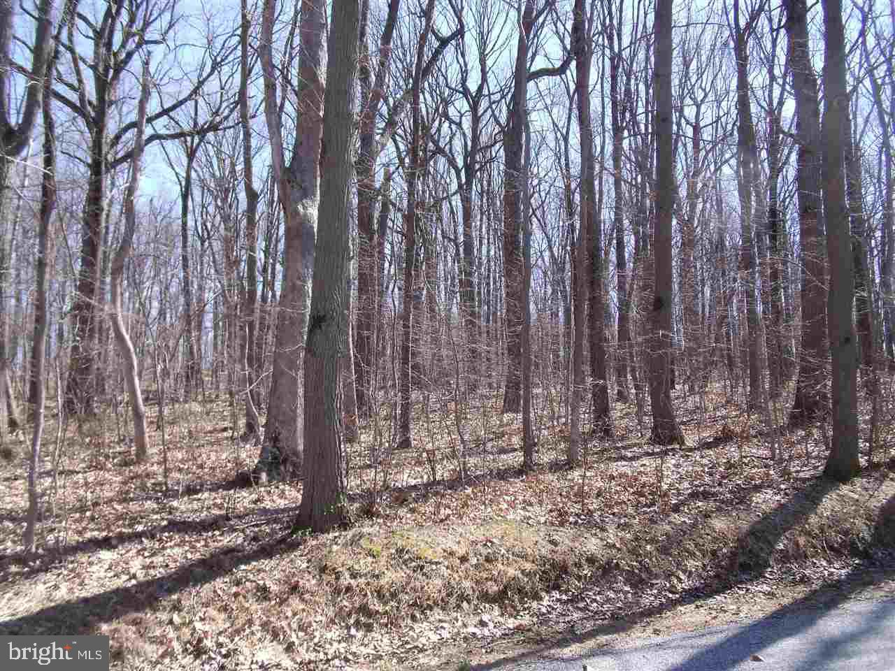 Beautiful, undisturbed 2.5 acre property.  Tall, old growth hdwd trees abound.  Build your dream home here!