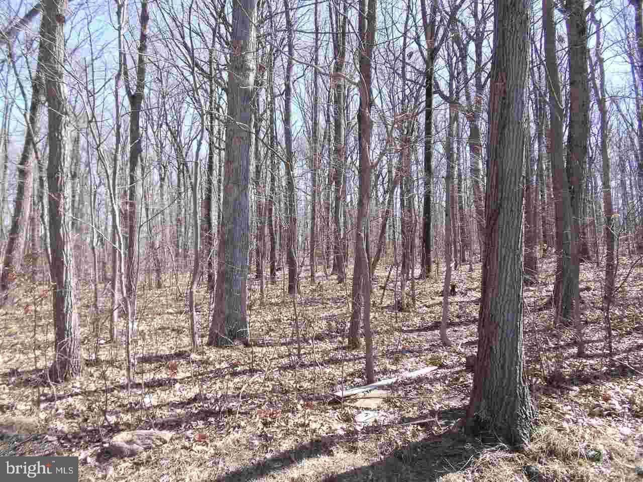 ZEIGLER CHURCH - Land