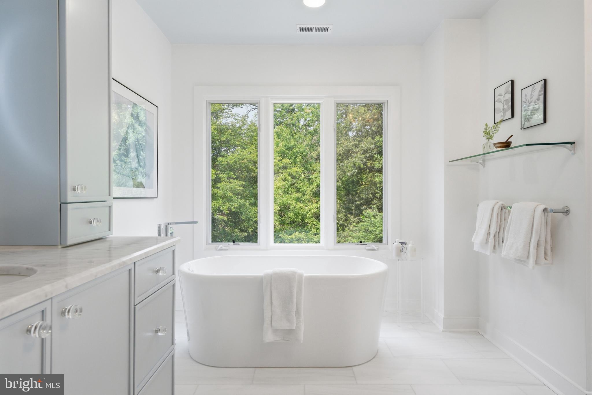 COLVIN RUN - Residential