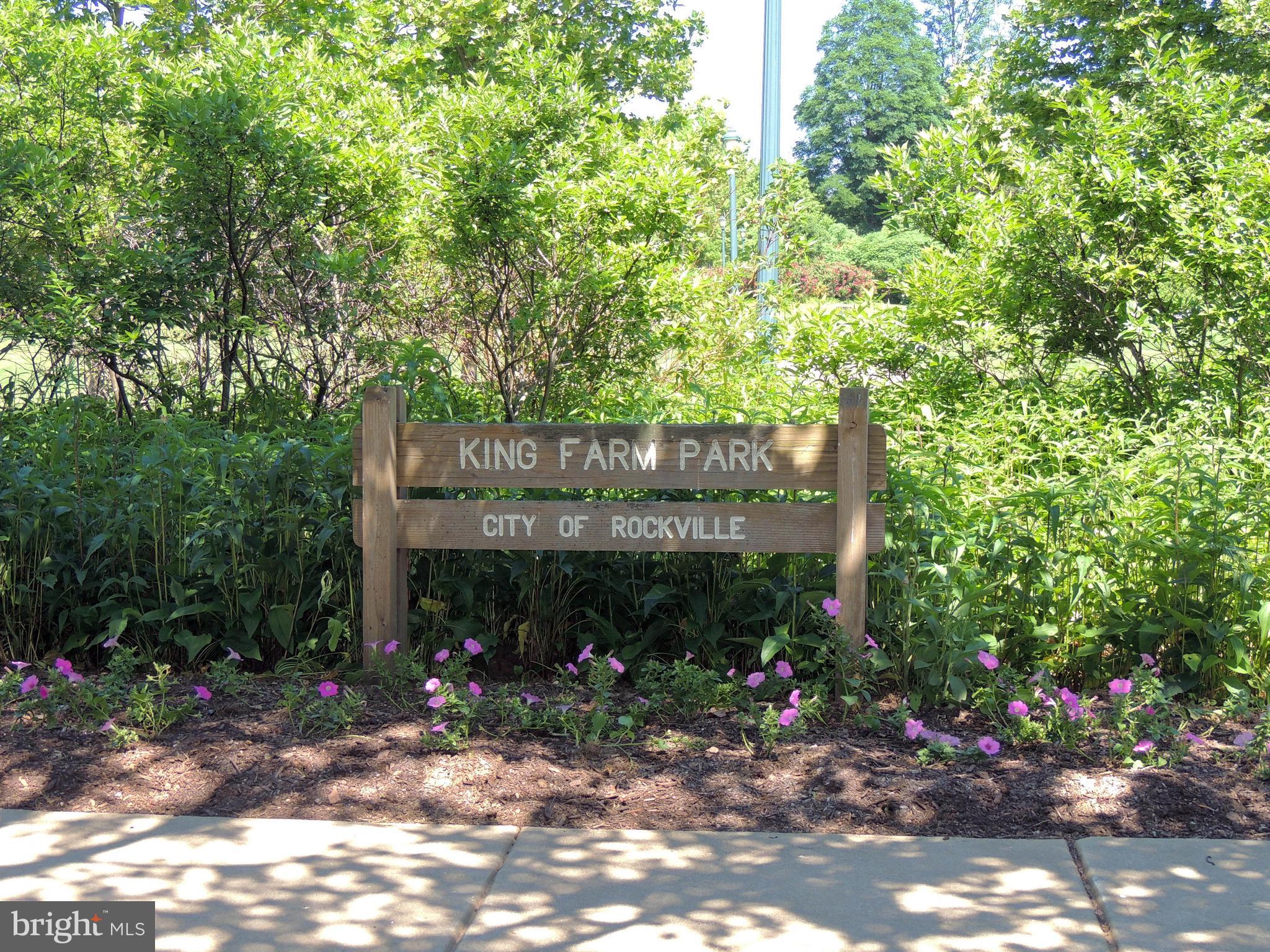 KING FARM WATKINS POND - Residential