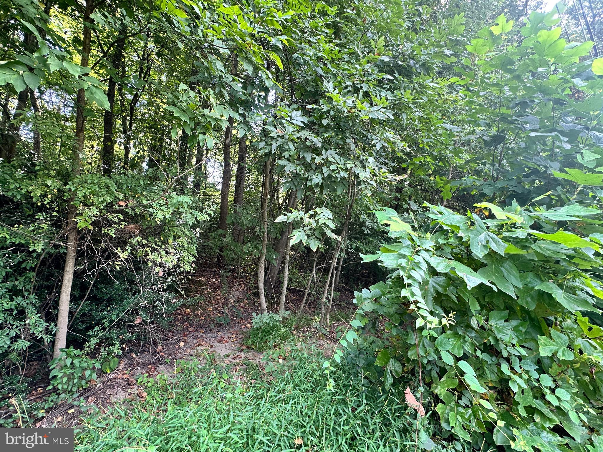 Located between Elkton and Chesapeake City next to the new development, Southfields of Elkton.  This 1.7 acre lot has mature trees and the option of dividing into two lots.  The parcel is recorded on the final plat for Lynnhaven Acres as lots 3 & 4.  It is close to local amenities yet offering a sense of remote privacy.  It is located in the county and not in the city limits of Elkton. There has not been a perk or well approval.   Please call for additional information.