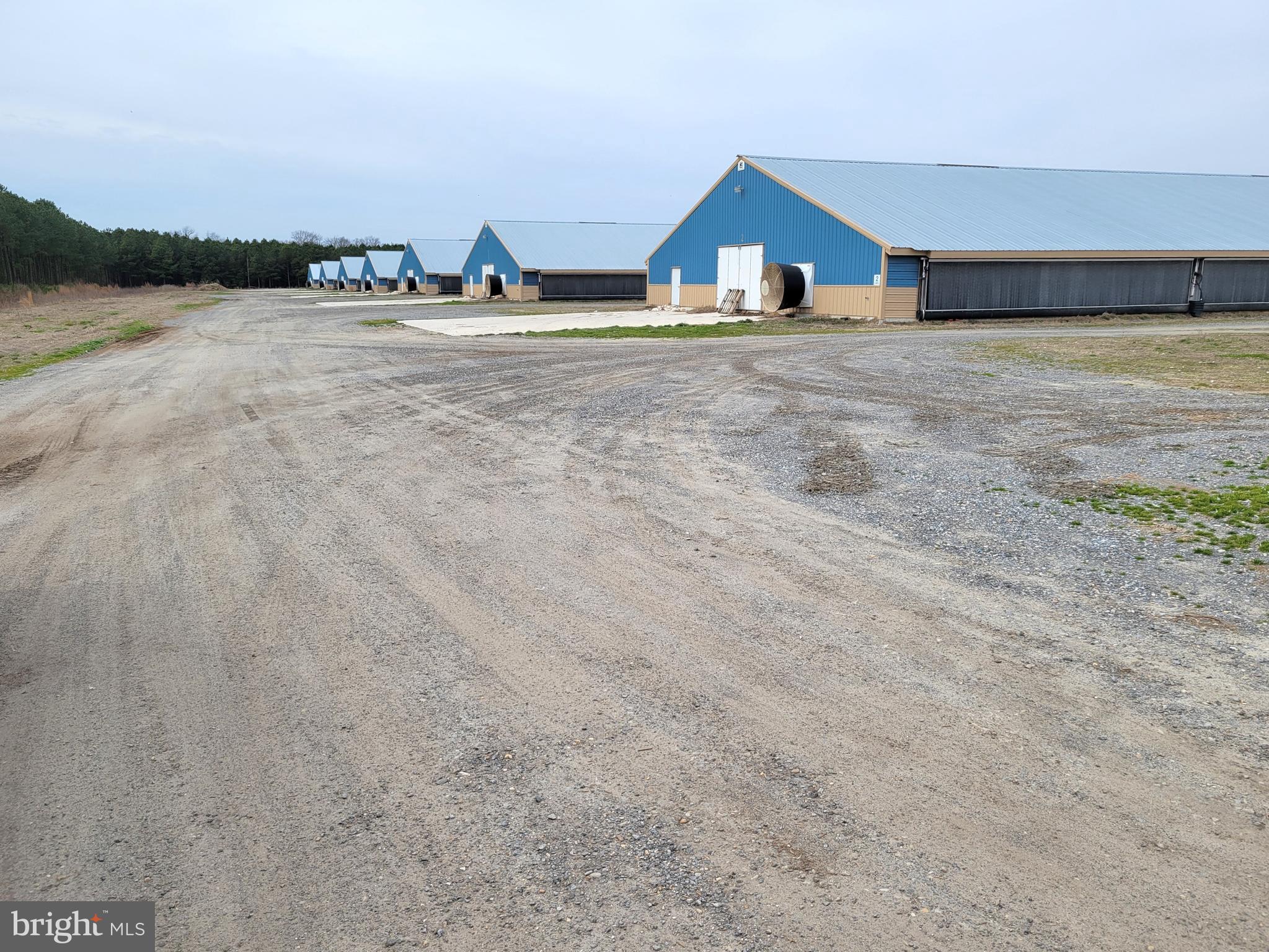 NONE AVAILABLE - Farm
