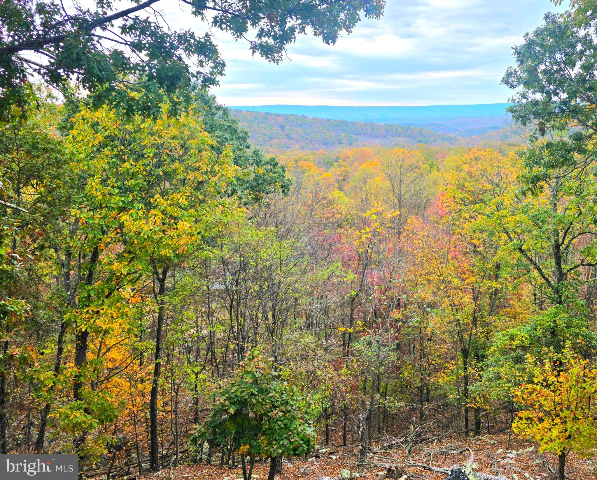 CACAPON EAST - Residential