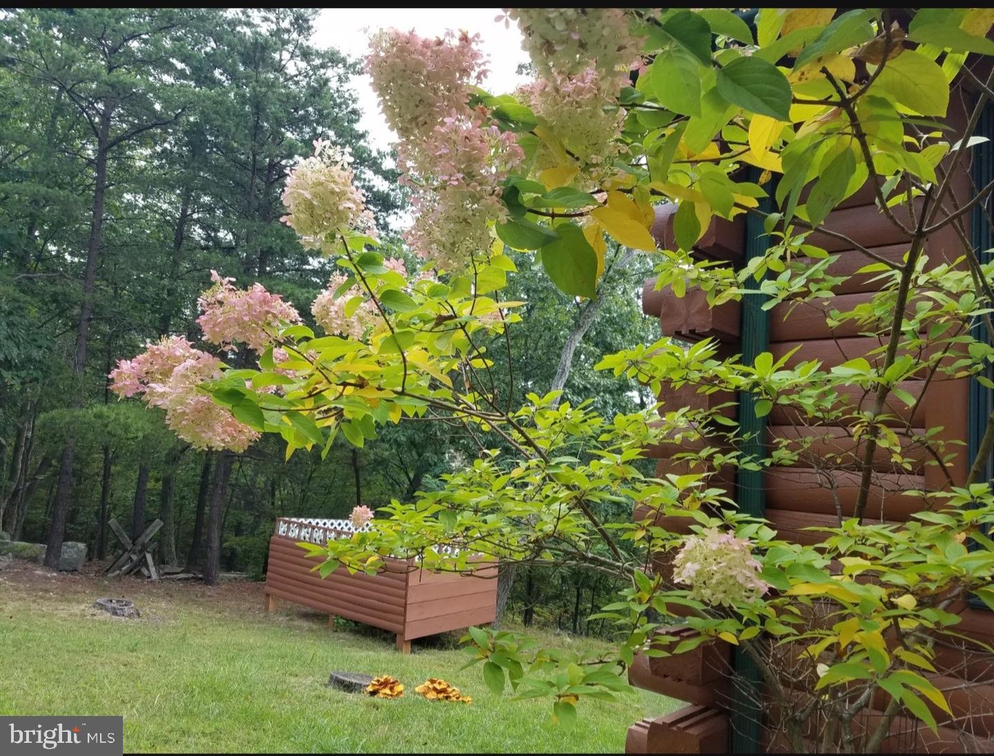 CACAPON EAST - Residential