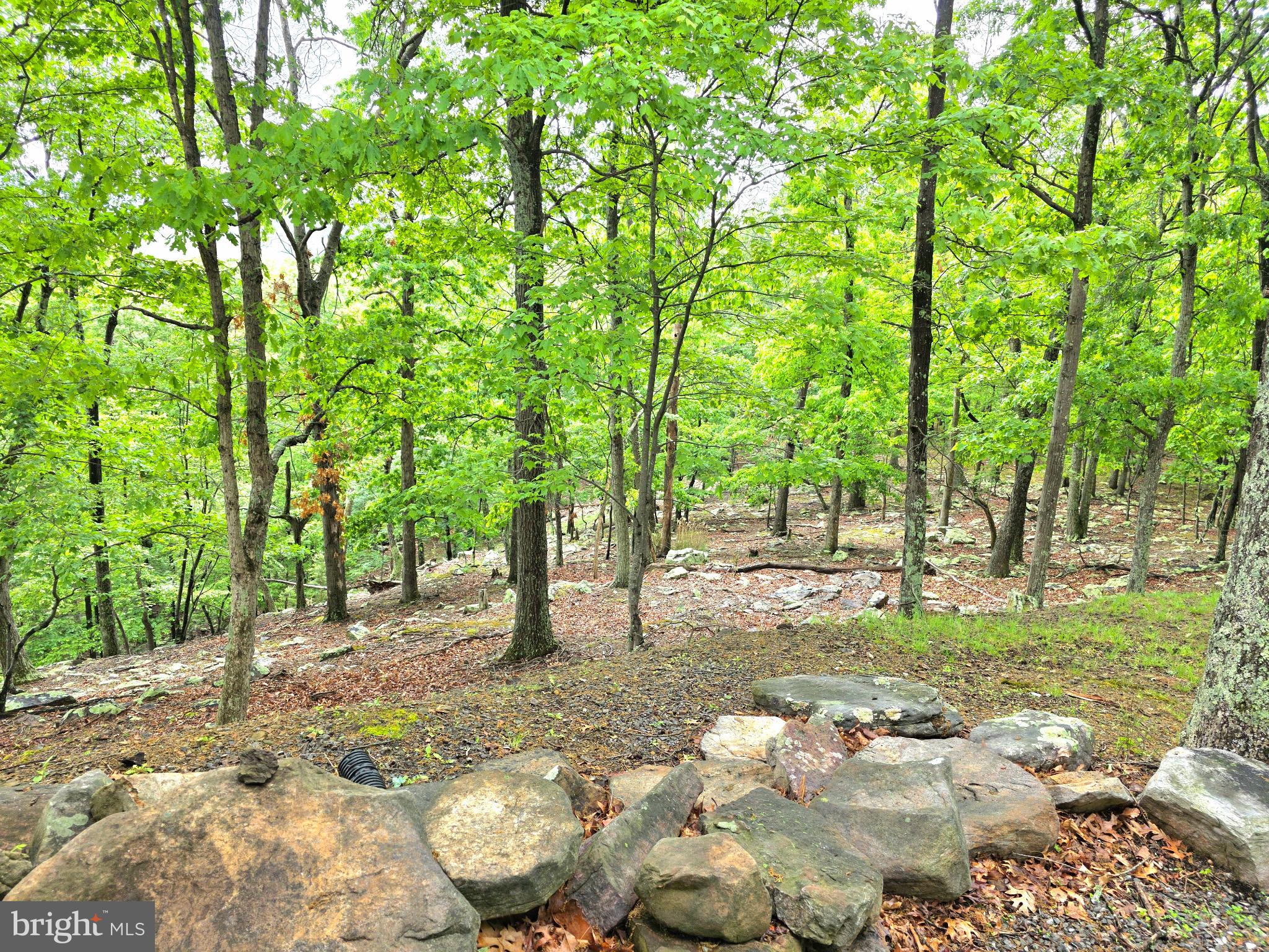 CACAPON EAST - Residential