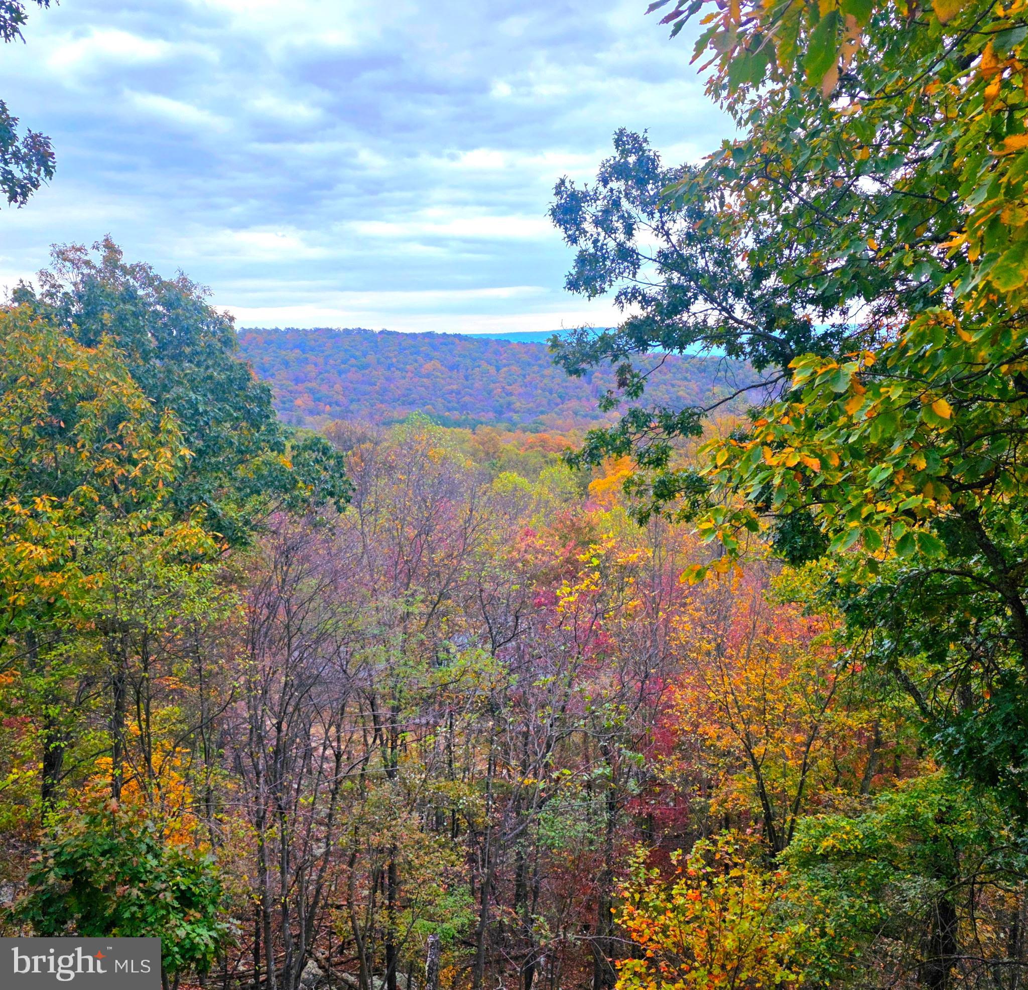 CACAPON EAST - Residential