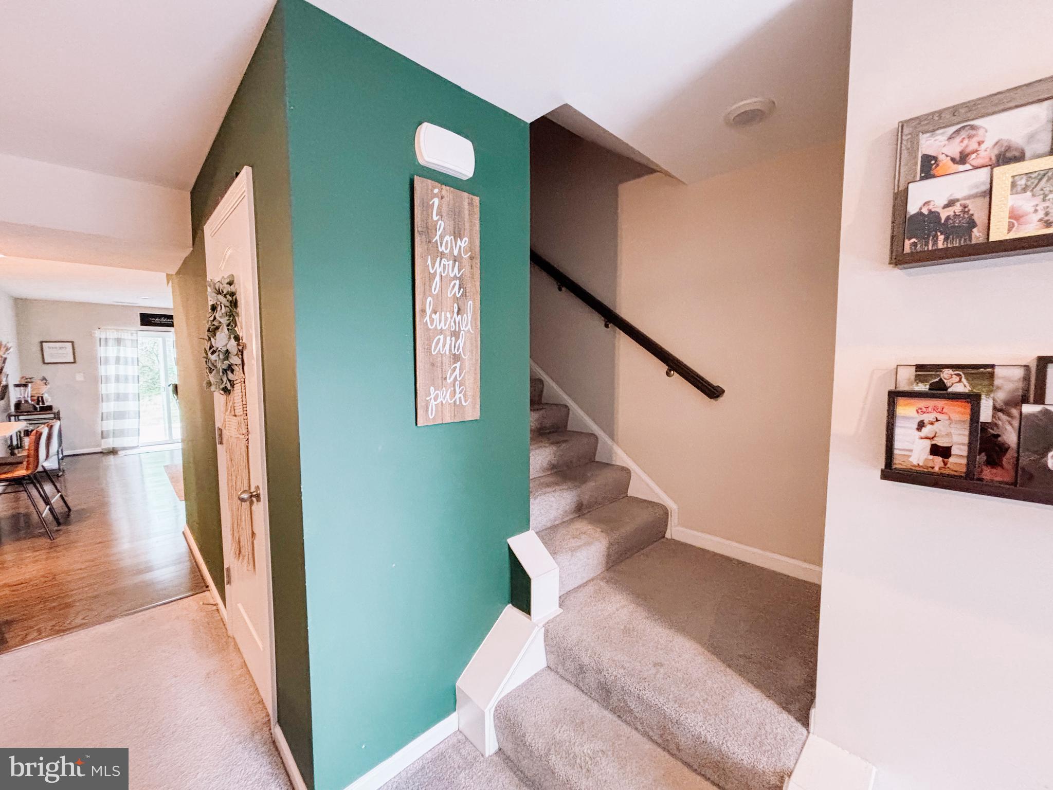 BRIAR RUN - Residential