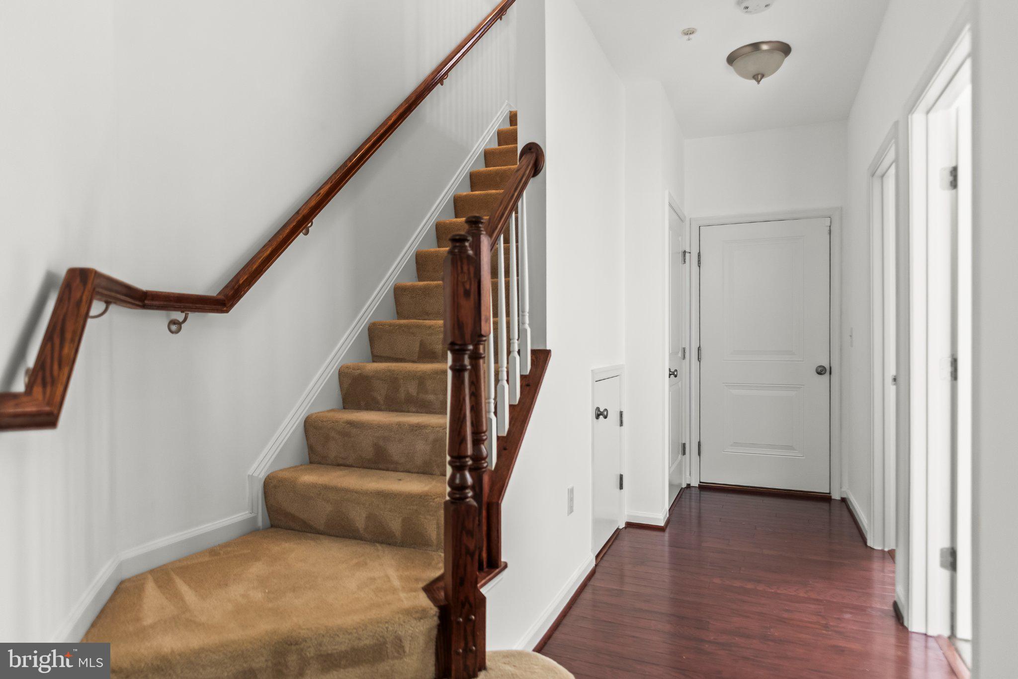 STEEPLECHASE - Residential