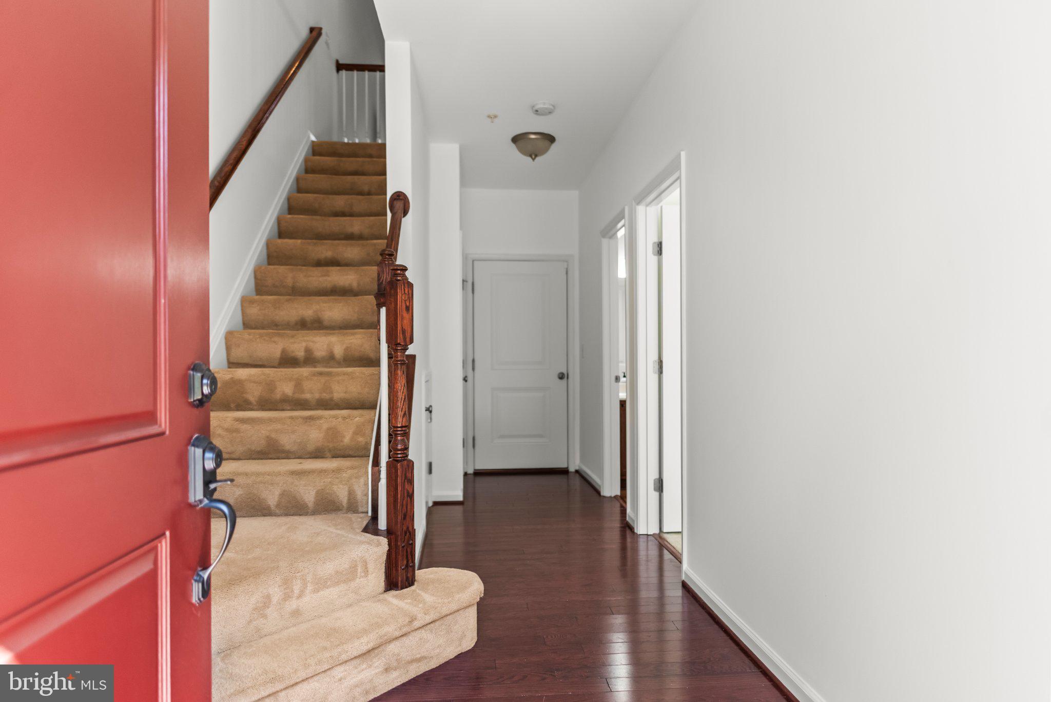 STEEPLECHASE - Residential