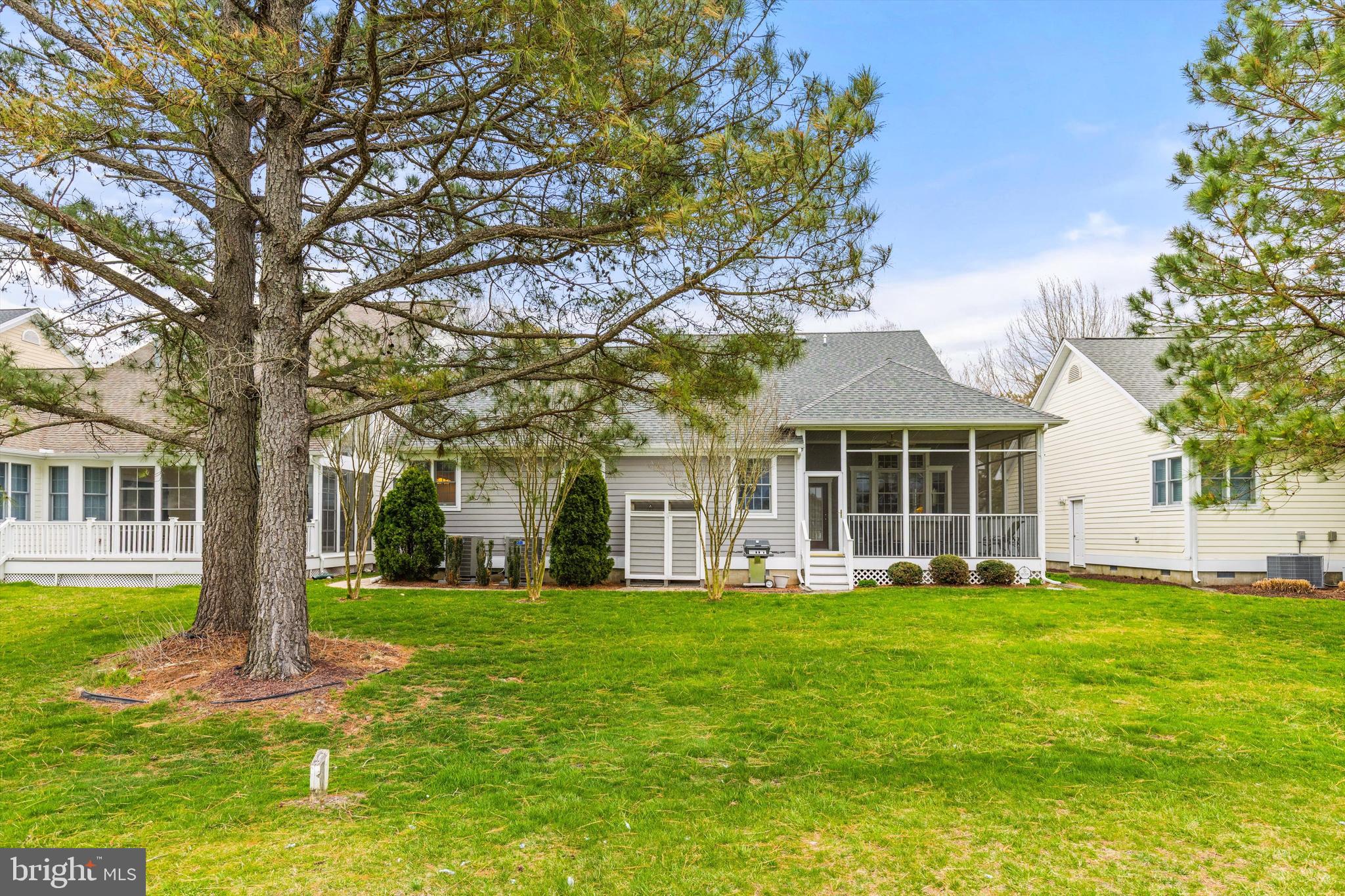 BEAR TRAP - Residential