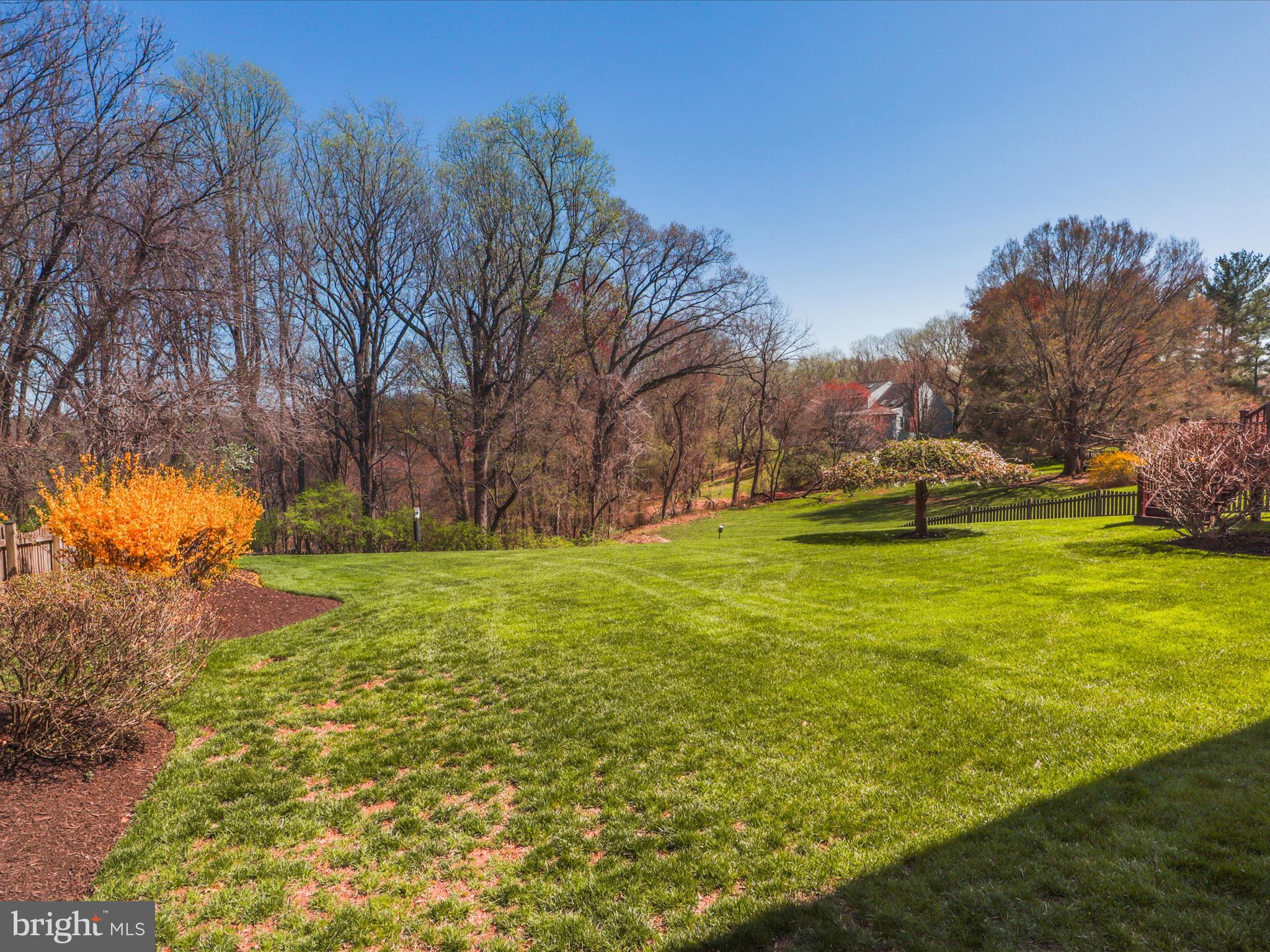 WOLFTRAP MEADOWS - Residential
