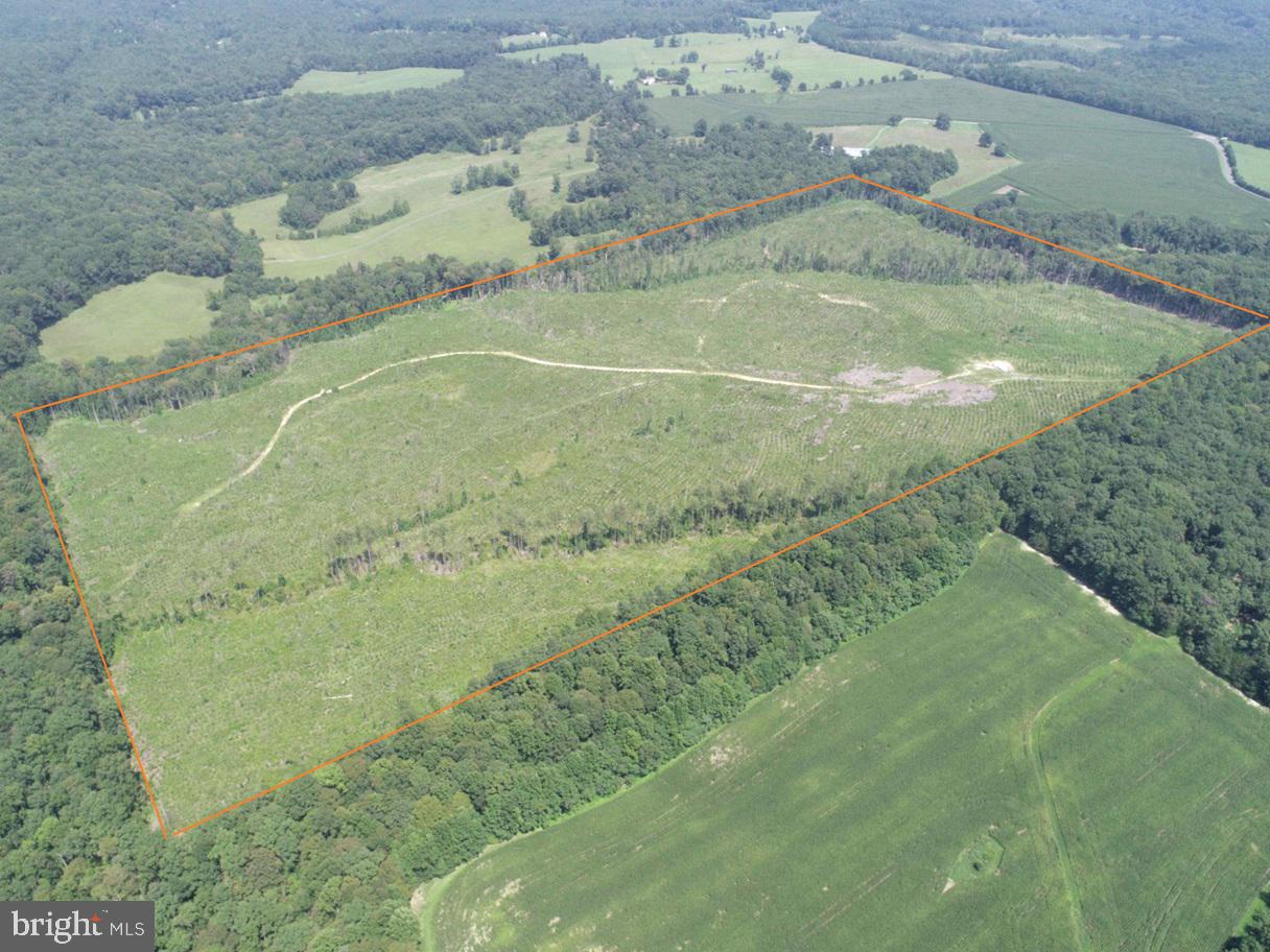 The Barnes-Dillon Tract covers 100 acres, about 2 miles from Bremo Bluff and 5 miles from Columbia, accessed via deeded right of way on Walkers Lane from Bremo Road. The land is gently rolling with a stream, containing 89 acres of 2023 planted Loblolly pine and 8 acres of mature hardwoods. It's well-suited for timber investment or a small farm.
Disclaimer: Property inspections shall be done during daylight hours. Seller and Advance Land and Timber, LLC in no way make any representations or warranties regarding the conditions of the property, including any and all access routes, and all persons entering upon the property do so at their own risk and accept said property as-is in its existing condition during such inspections. All persons entering upon the property assume all risks and liabilities and agree to indemnify, defend, and hold harmless Seller, its affiliates, officers, directors, managers, agents, representatives and employees from and against any and all claims, demands, causes of action, injuries (including death) and damages resulting from any accident, incident, or occurrence arising out of, incidental to or in any way resulting from his or her inspection of the property or his or her exposure to the conditions of the property.