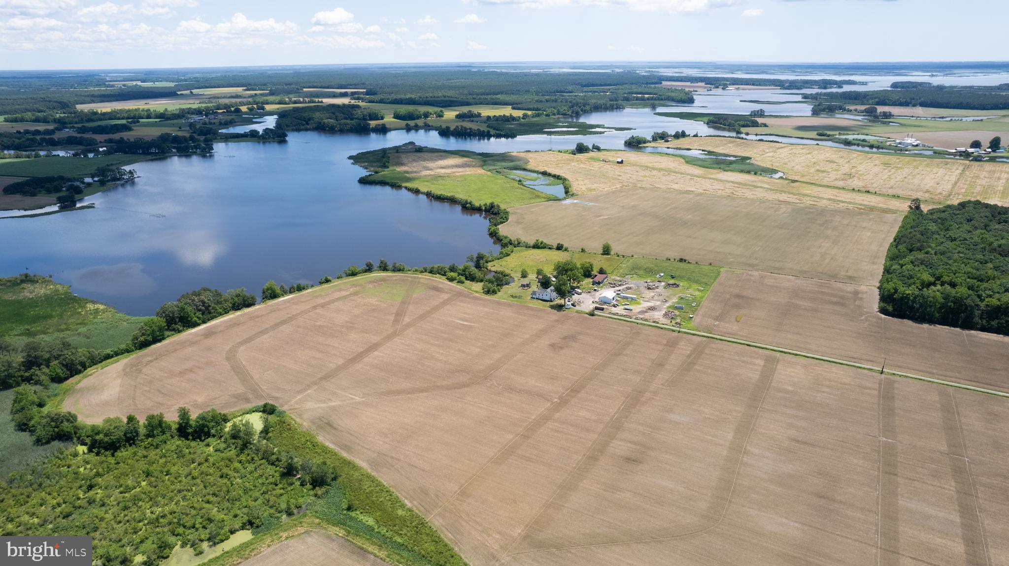 Exceptional opportunity to acquire a 135+/- acre waterfront farm with prime agricultural farmland, some development possibilities, mature timber. A haven for the outdoor enthusiast, wildlife abounds, teeming with SIKA and whitetail deer, turkeys, doves, ducks & waterfowl. Approximate 1,000ft+ of water frontage with navigable water on the Blackwater river with licensed offshore blind and shoreline.  A paradise for hunting and fishing. Stunning waterfront views. Land consists of approximately 83 acres tillable, roughly 50 acres in old growth market timber - one of the last stands of old growth oak on the road). 42'x32' pole barn/shop (June 2023). All conveniently located within minutes from historic downtown Cambridge, close to fine restaurants and shopping. The four bedroom, two bath farmhouse needs some interior renovations, offers versatile options. Enjoy vistas of prime agricultural land and woods, this waterfront property offers complete seclusion with many sources of possible income. Discover the extraordinary allure of this farm and make it your own!