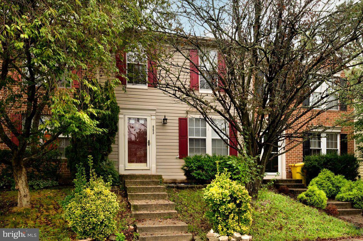 CHESTNUT HILL COVE - Residential