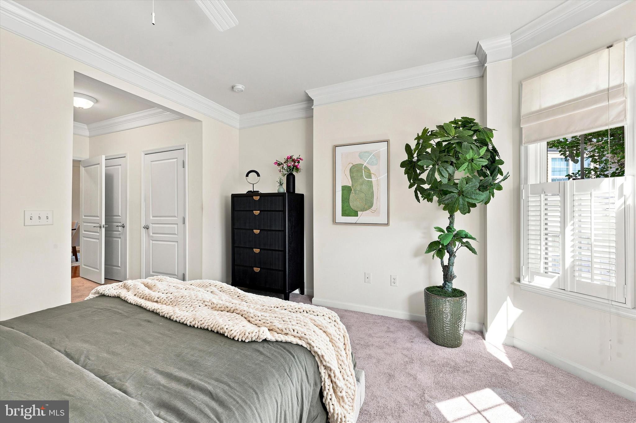 TRAD AT RIDLEY CREEK - Residential