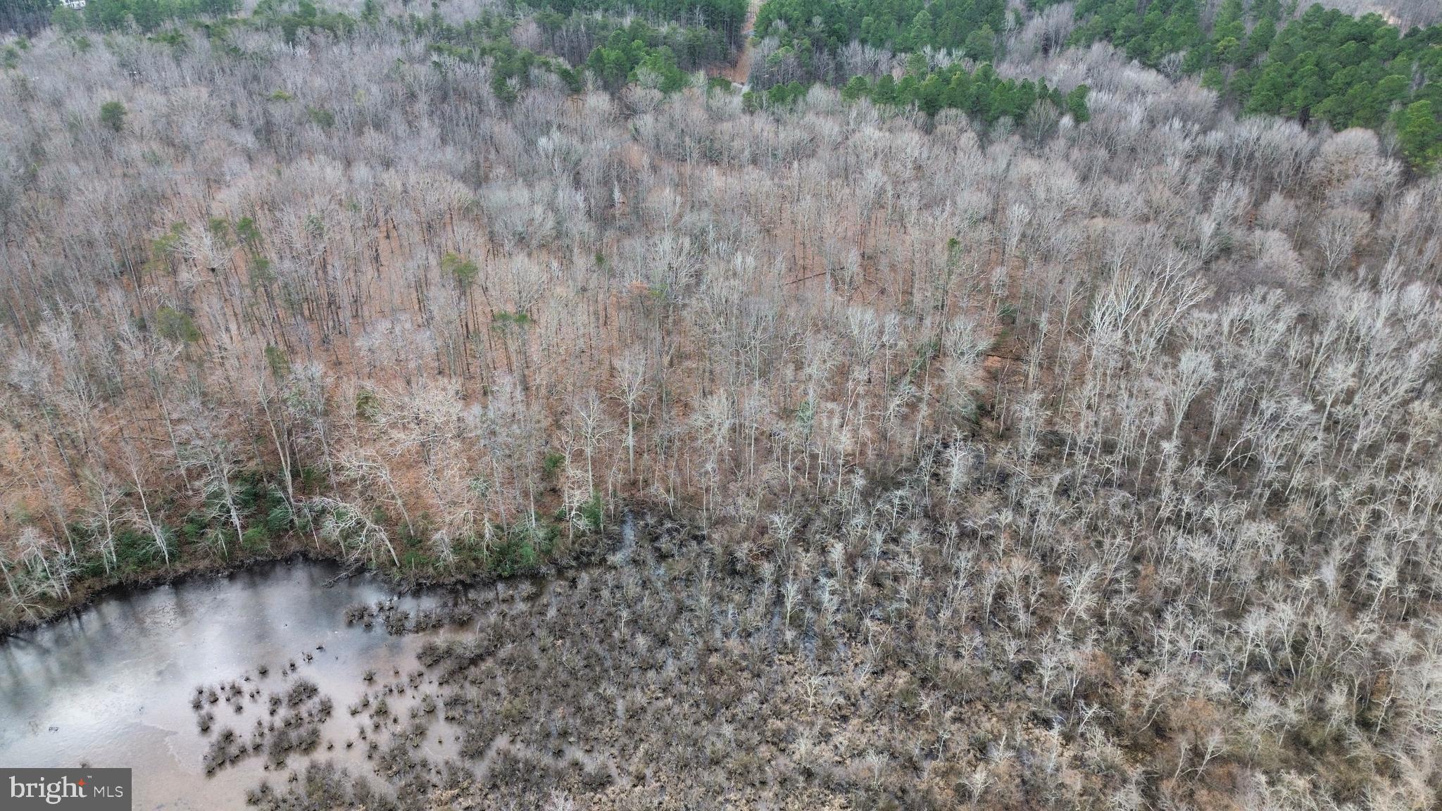 JENNINGS POND - Land