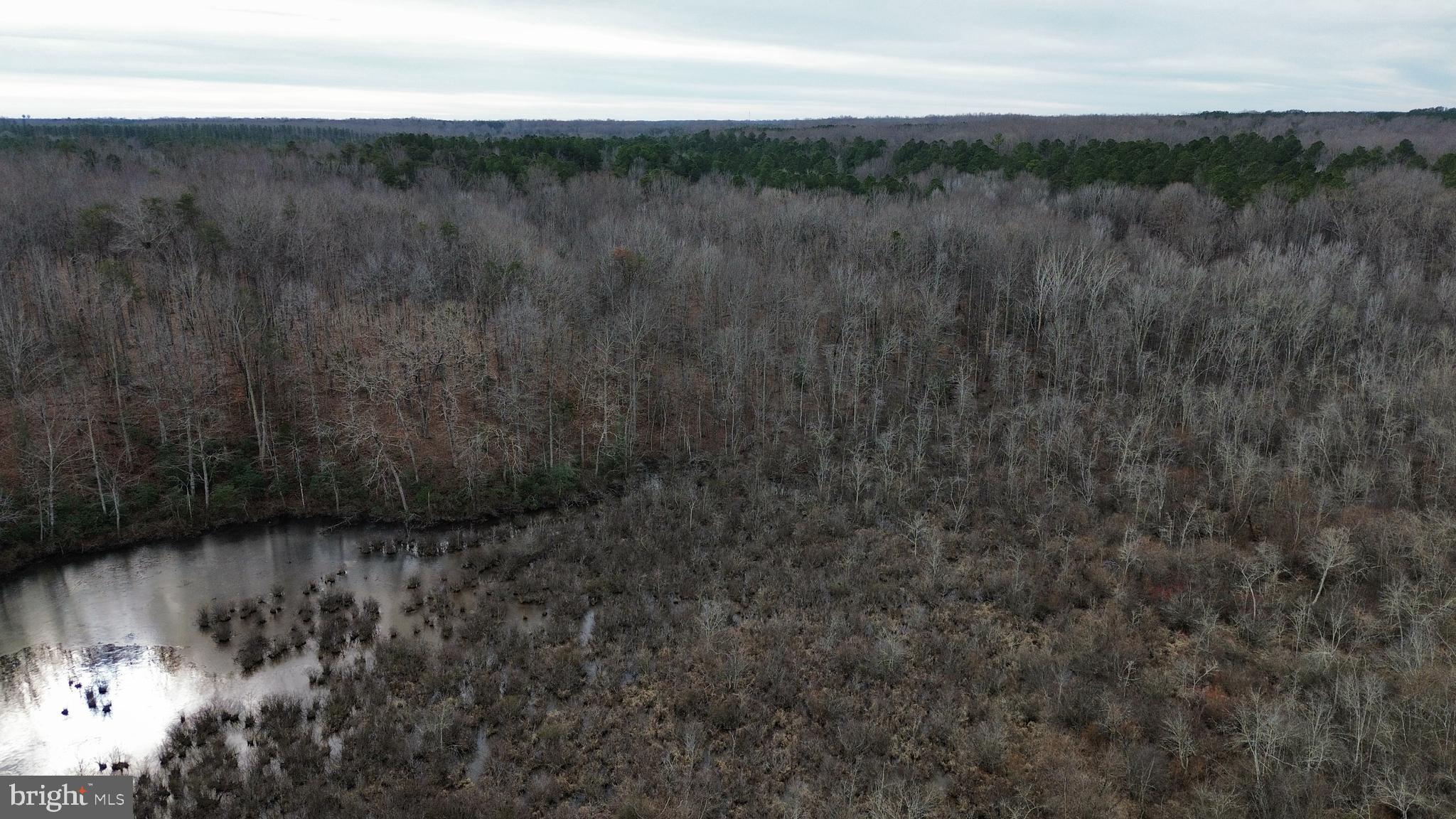 JENNINGS POND - Land