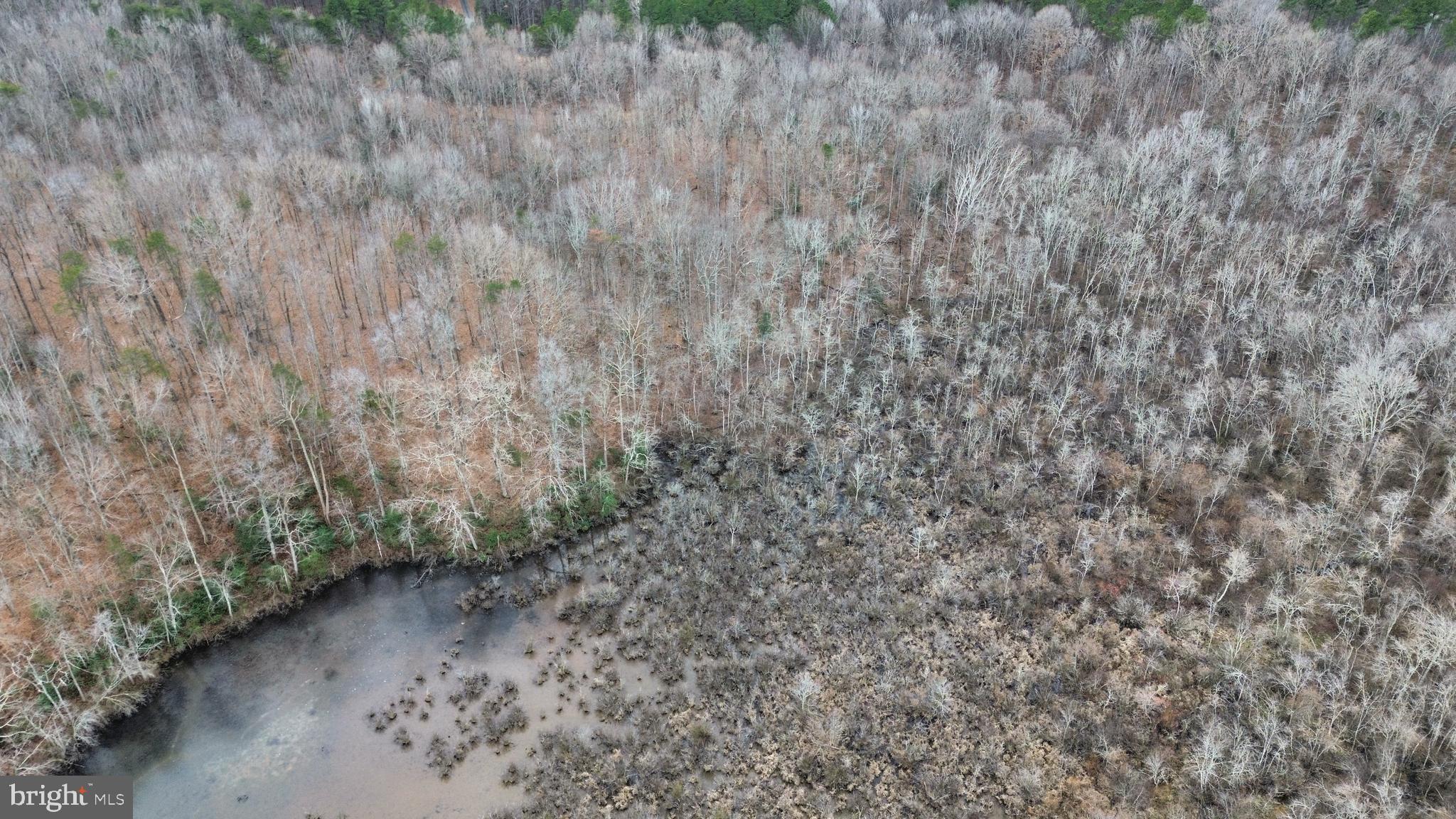 JENNINGS POND - Land