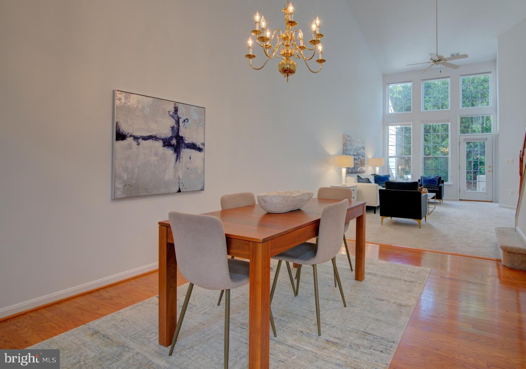 CENTRAL PARKE AT LOWES ISLAND - Residential