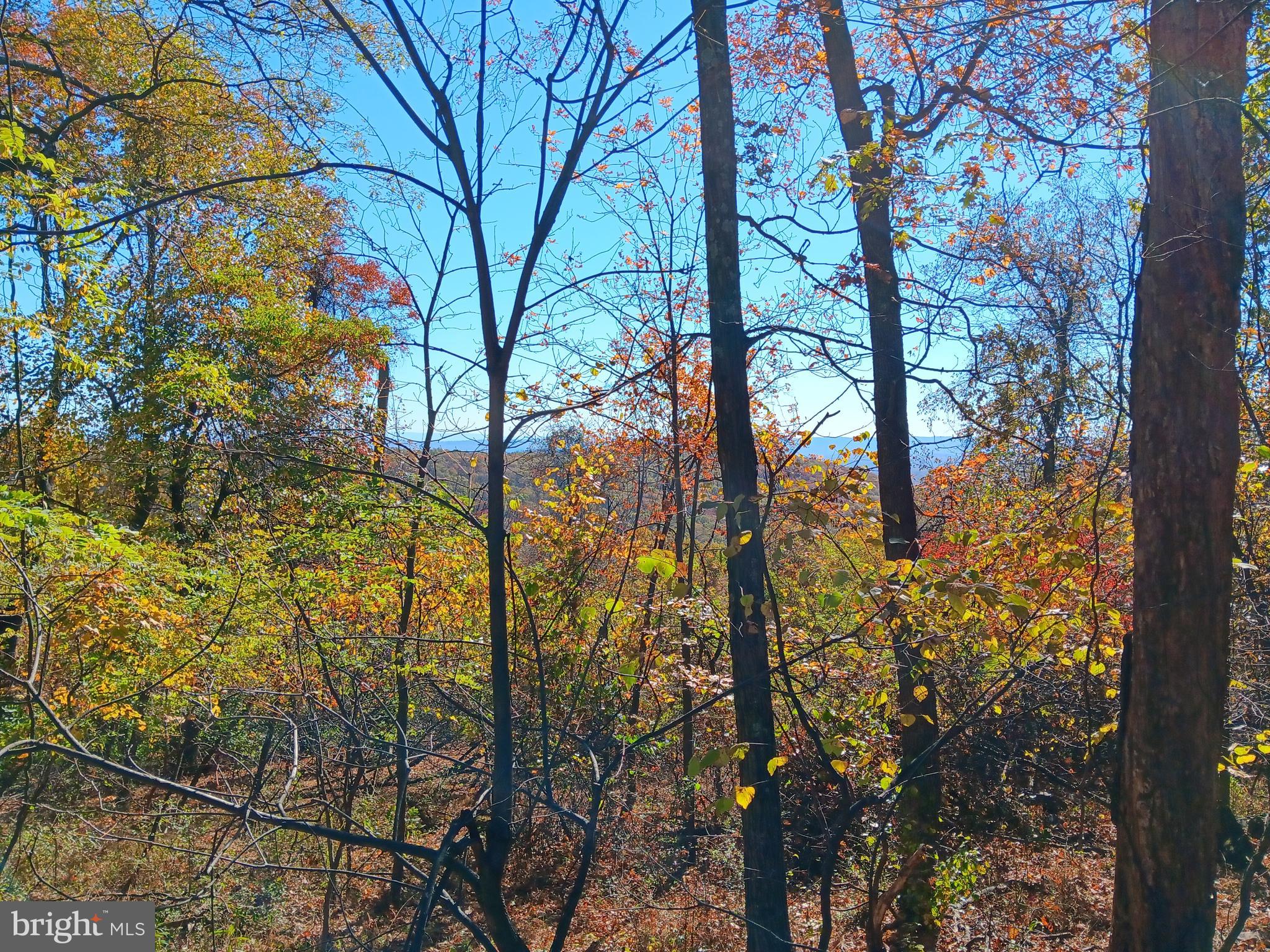 SLEEPY HOLLOW - Land
