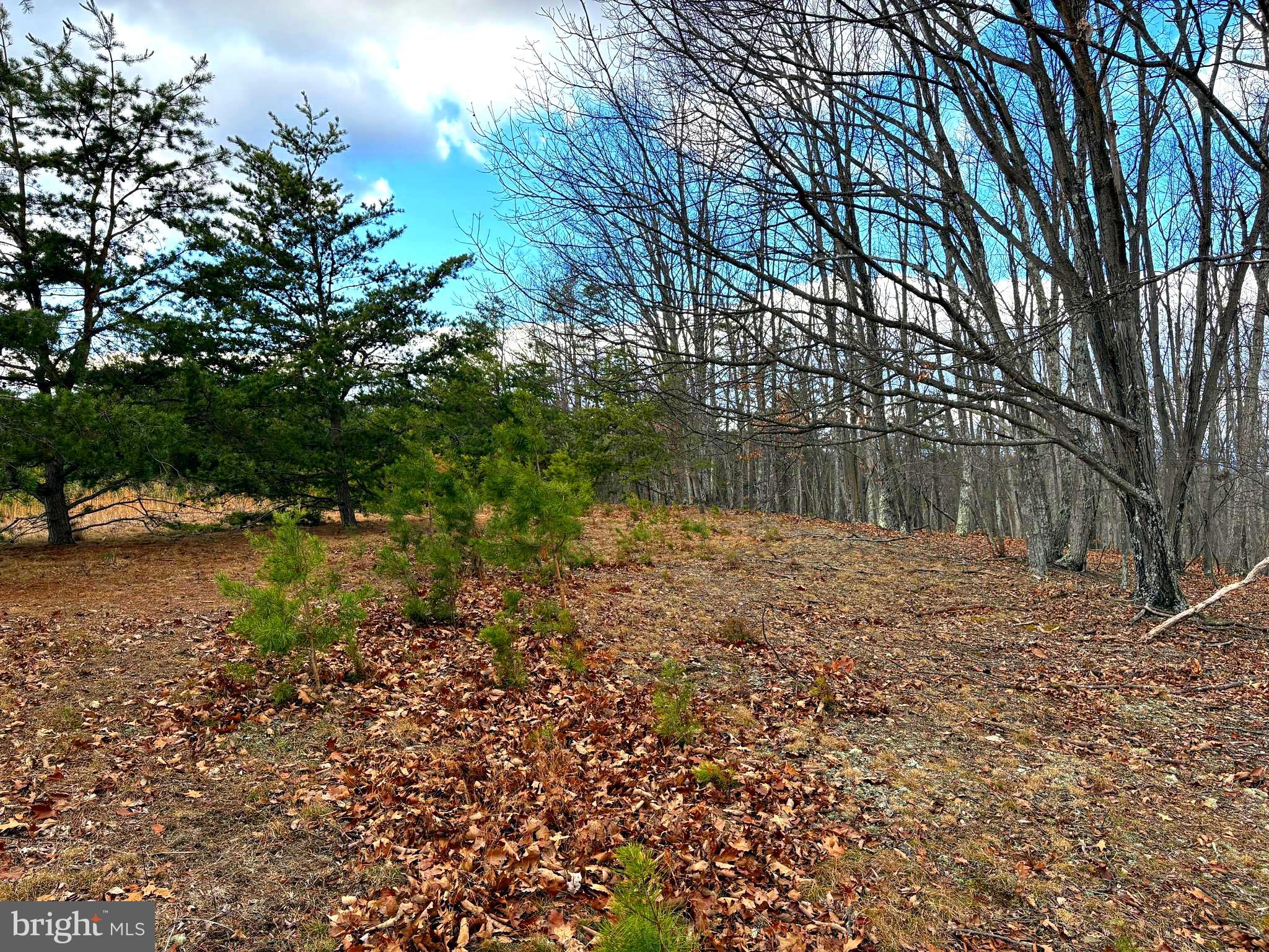 NONE - Land