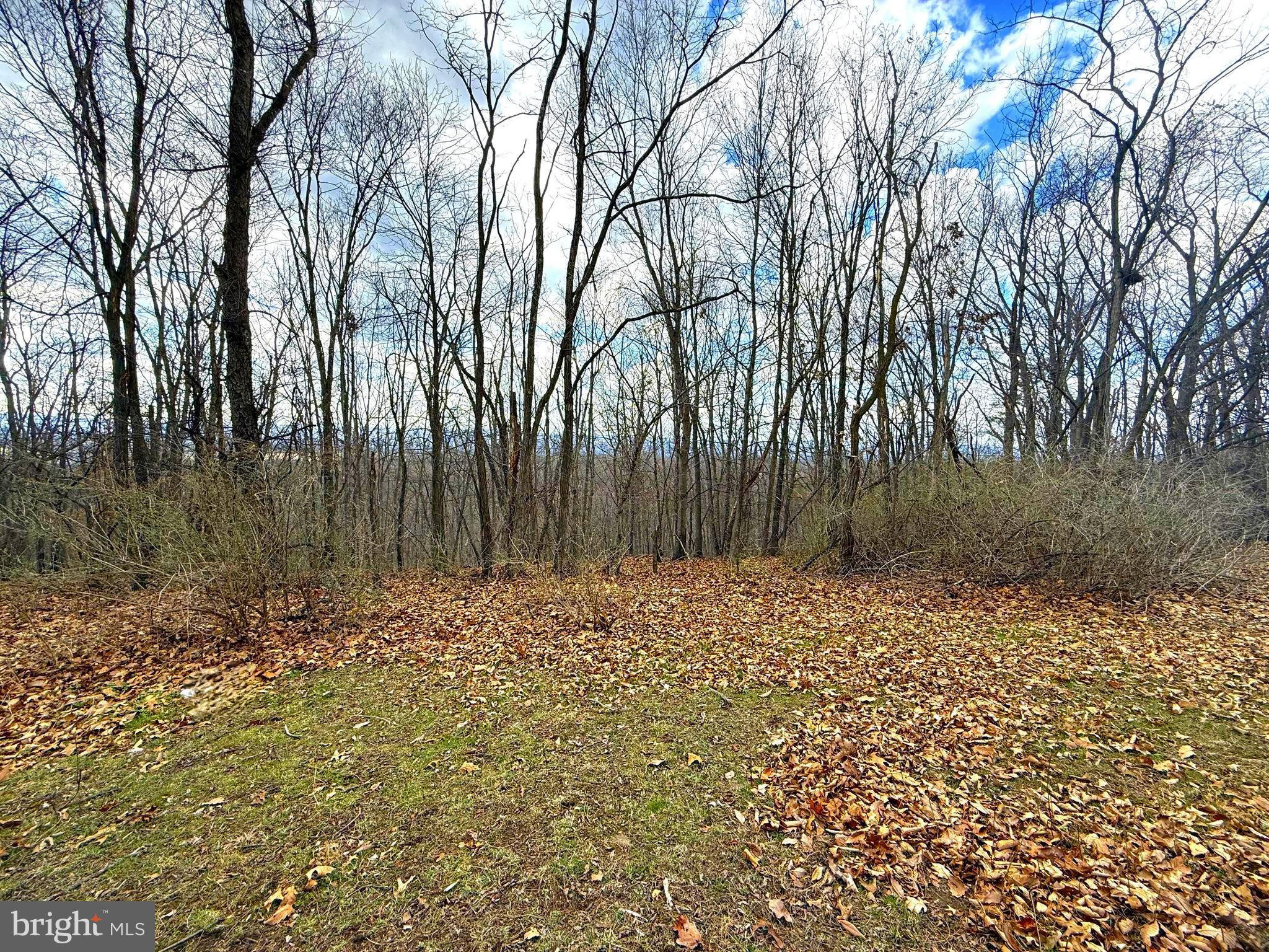 Your Mountain Getaway Awaits! Over the mountain and through the woods, find your perfect escape! A hunter's delight and an outdoor enthusiast's dream, this property consists of 7 acres of mature hardwood, teeming with abundant wildlife. Clear some trees, and you’ll be greeted with stunning views! You can explore your own land or venture just 5 miles away to the Fort Mill Ridge Wildlife Management Area and the South Branch Potomac River, where you can kayak or fish your cares away. The recreational opportunities are endless right outside your door. Romney offers local shopping, dining, and the Potomac Eagle Scenic Railroad, providing an ideal mix of convenience and charm. Escape the hustle and bustle to your mountain retreat, all while being just about an hour’s drive to I-81 in Winchester, VA, and approximately two hours from Dulles Airport.