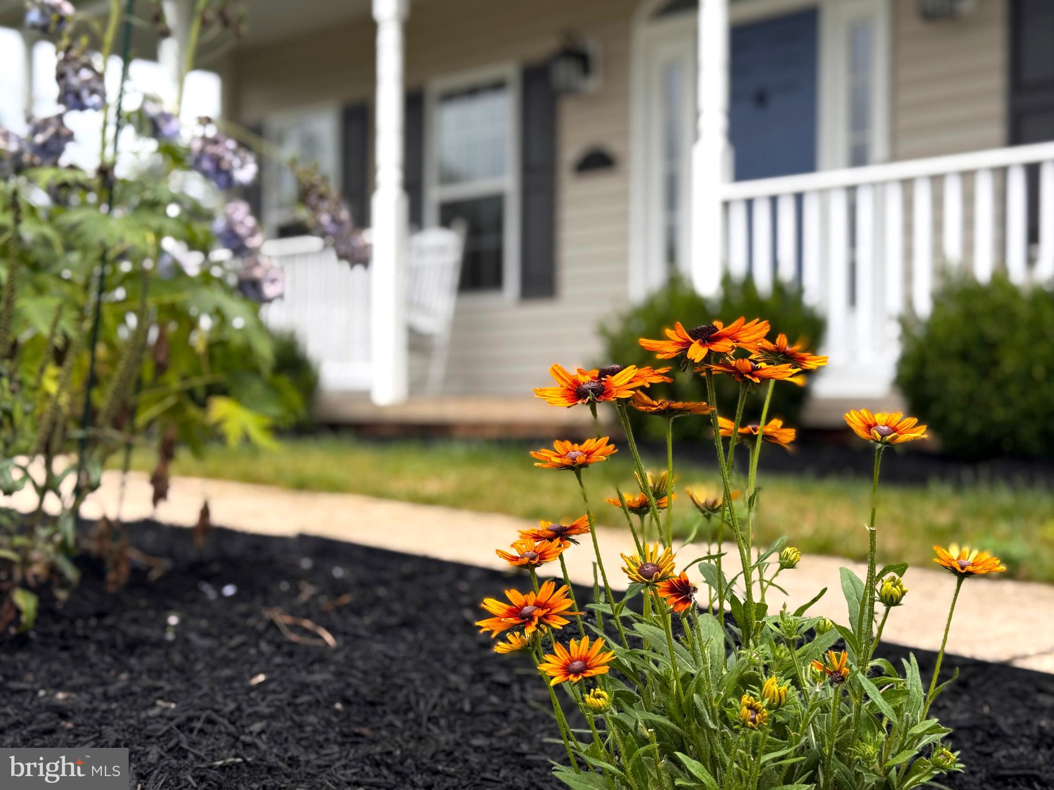 TROTTER FARMS - Residential