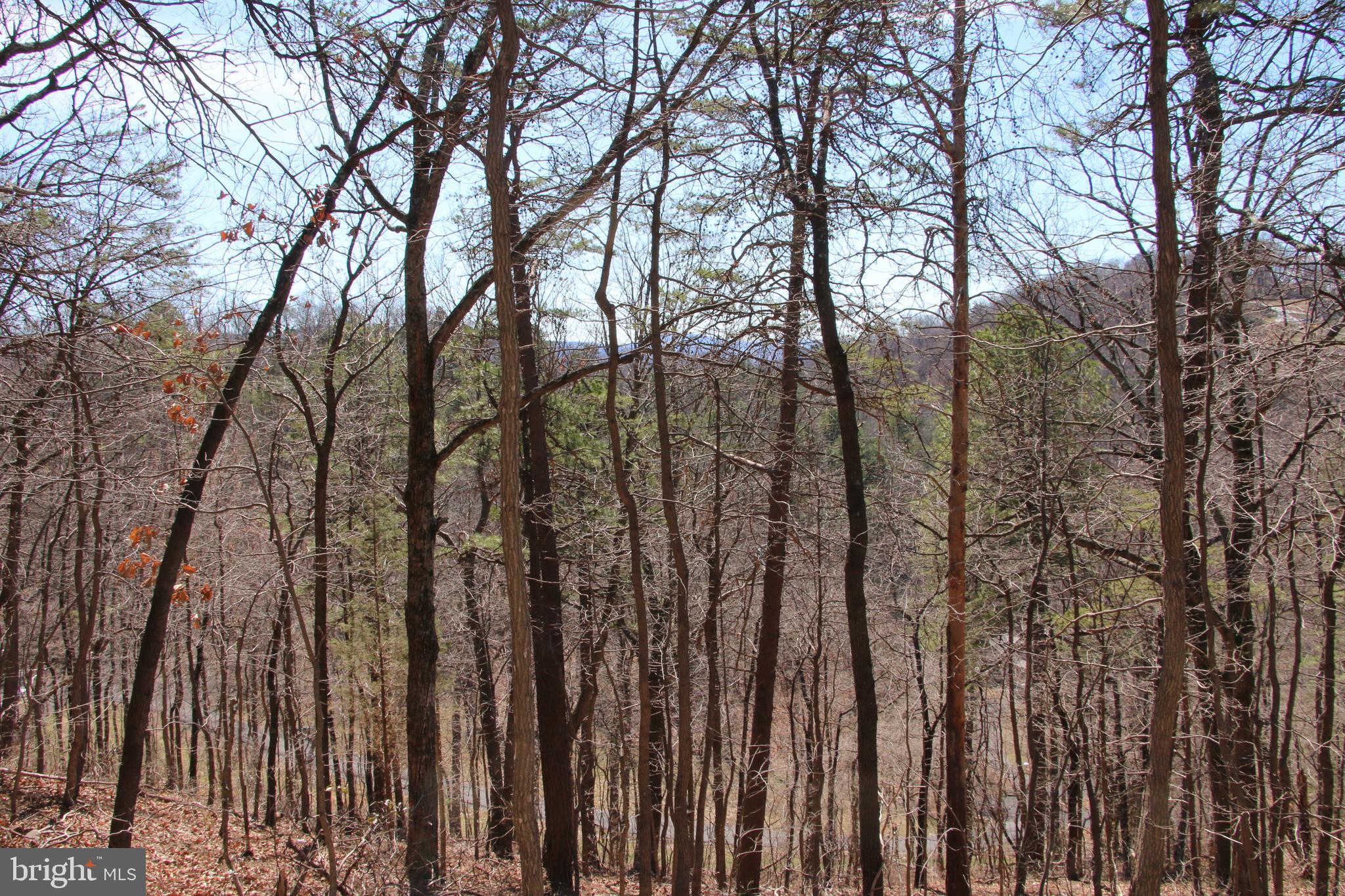 SHENANDOAH FARMS - Land