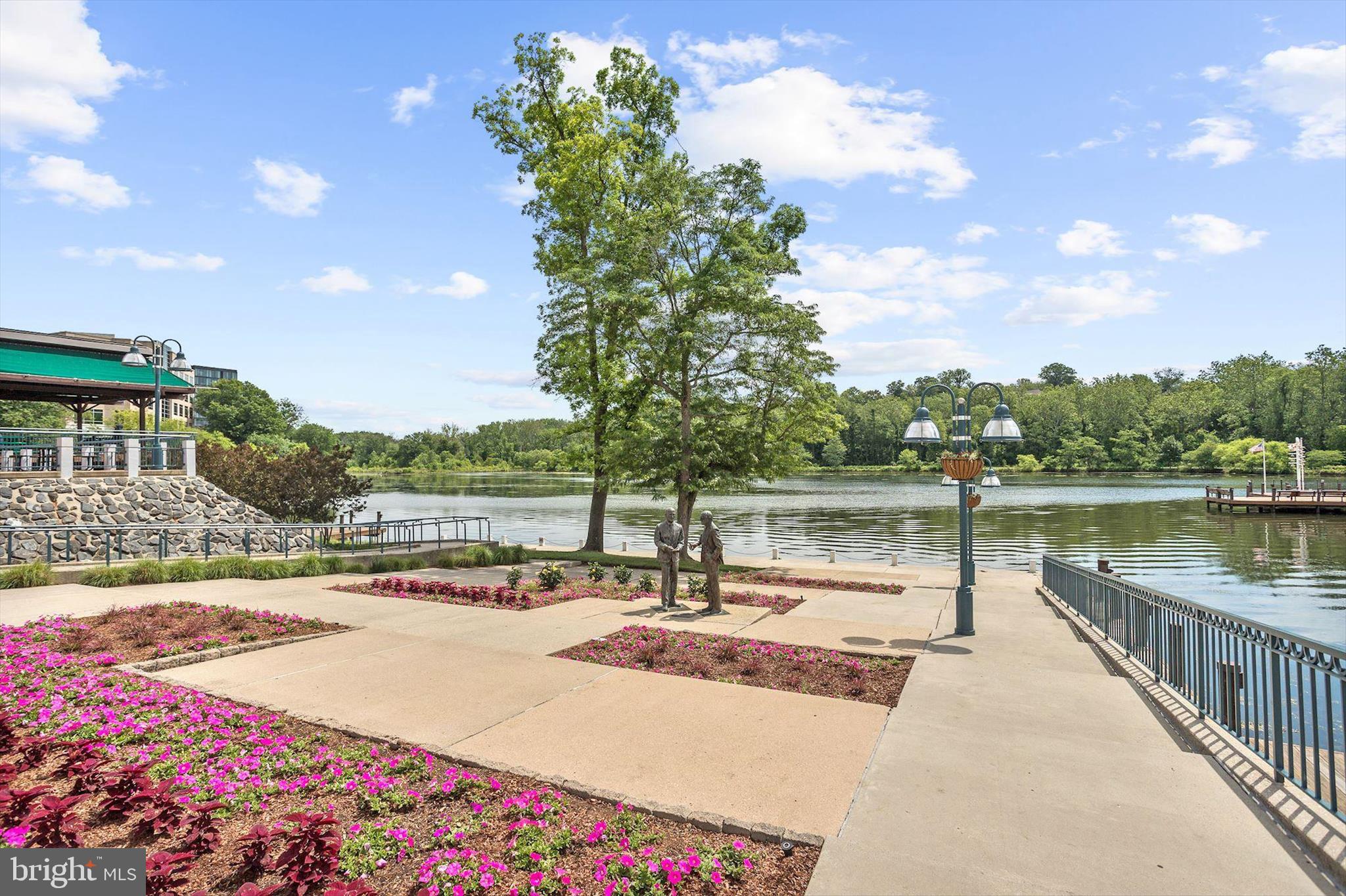THE WHITNEY TOWN CENTER - Residential
