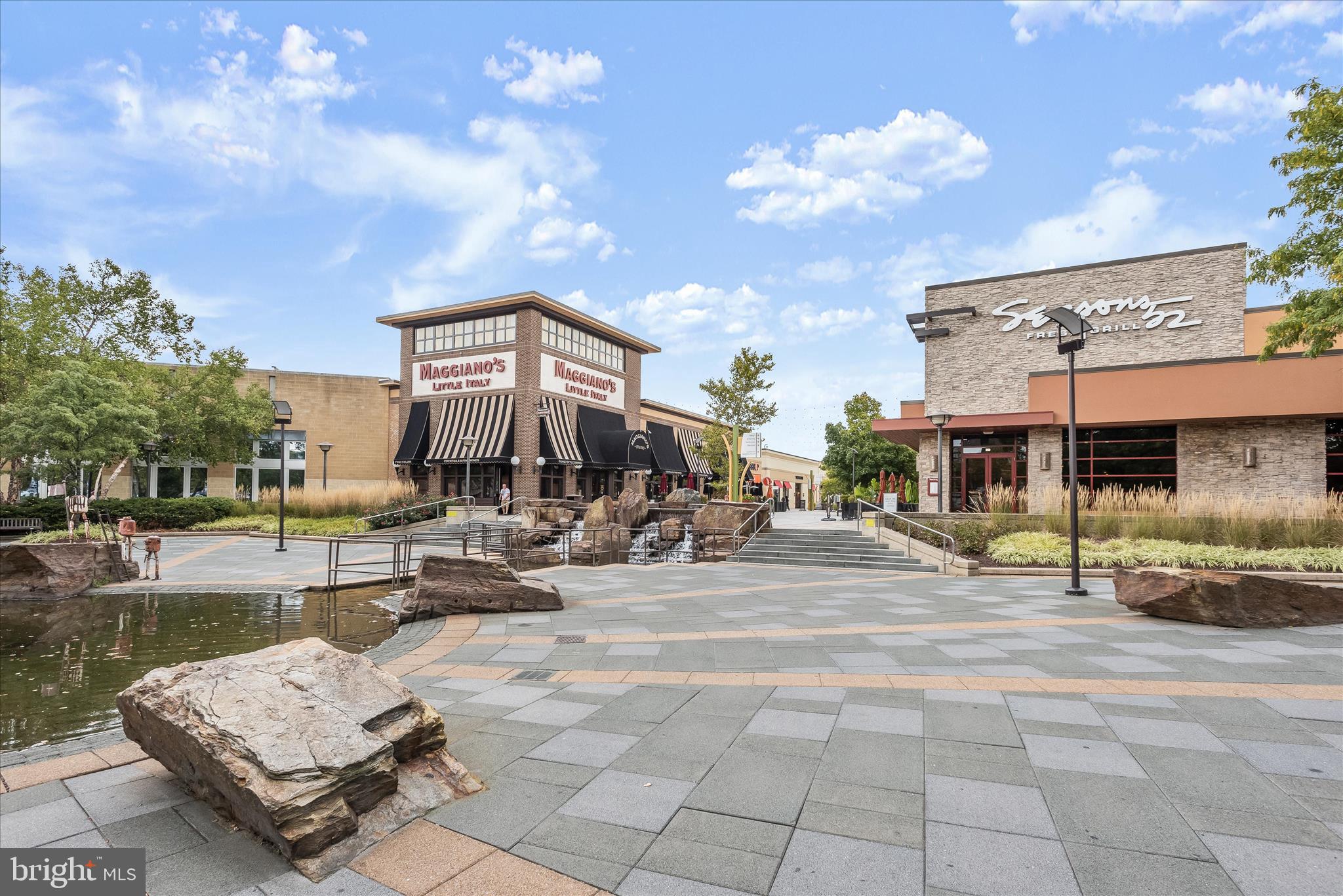 THE WHITNEY TOWN CENTER - Residential