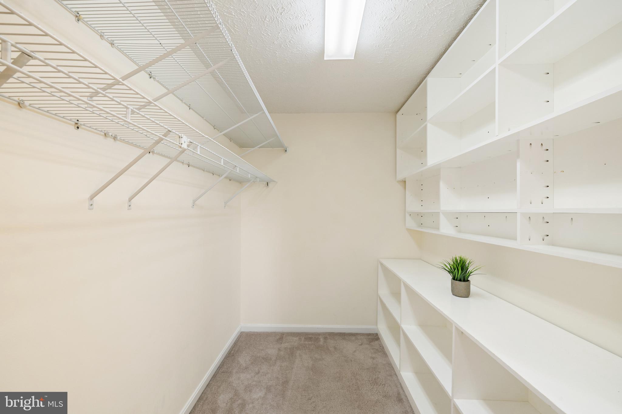 PLEASANT PLAINS - Residential