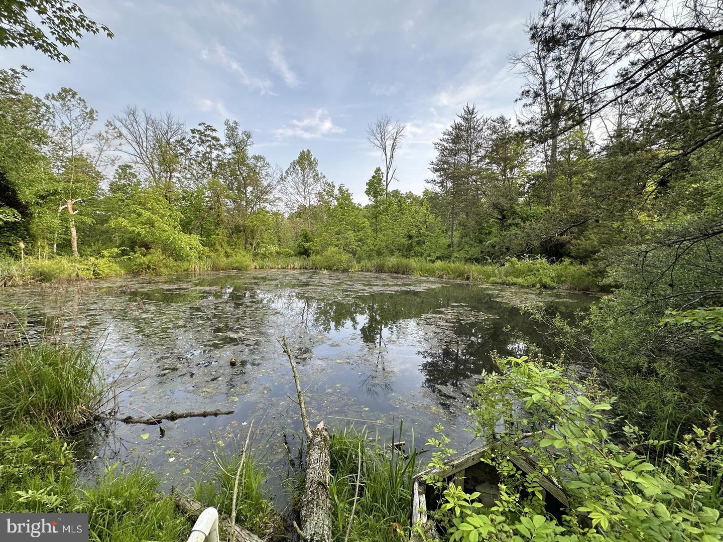 NONE AVAILABLE - Commercial Sale
