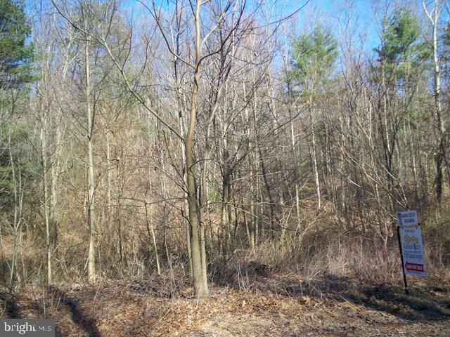 2 +/- acre lot; great place to put your dream home; no restrictions; not perked