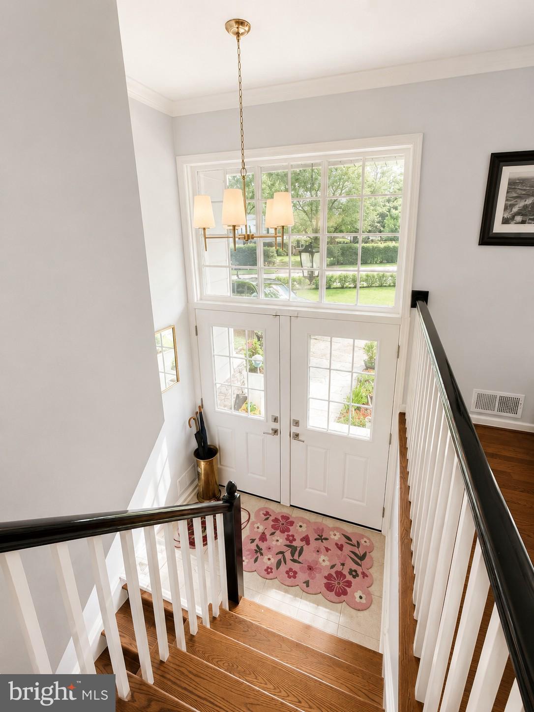 MT VERNON FOREST - Residential
