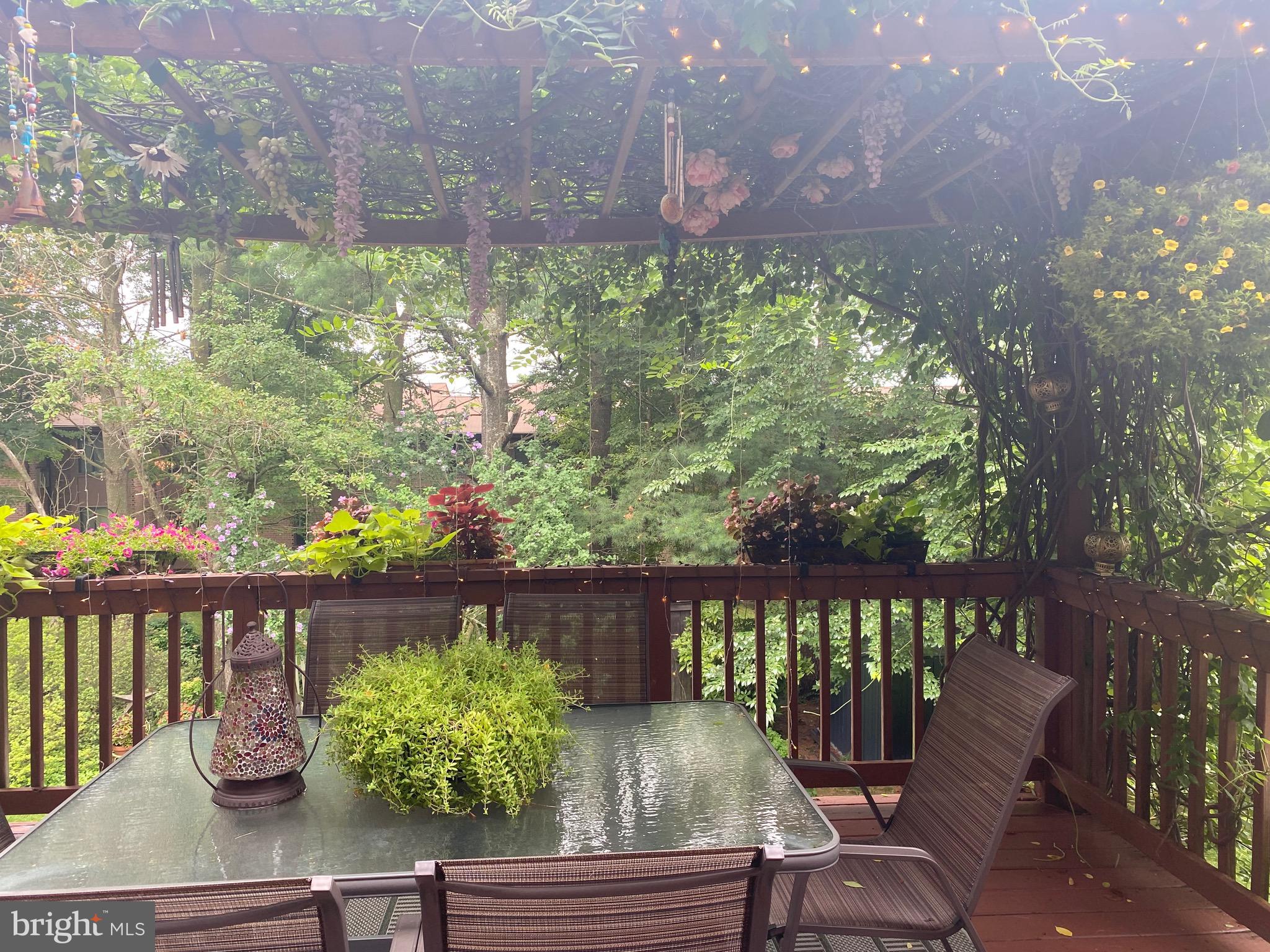 DULANEY SPRINGS - Residential