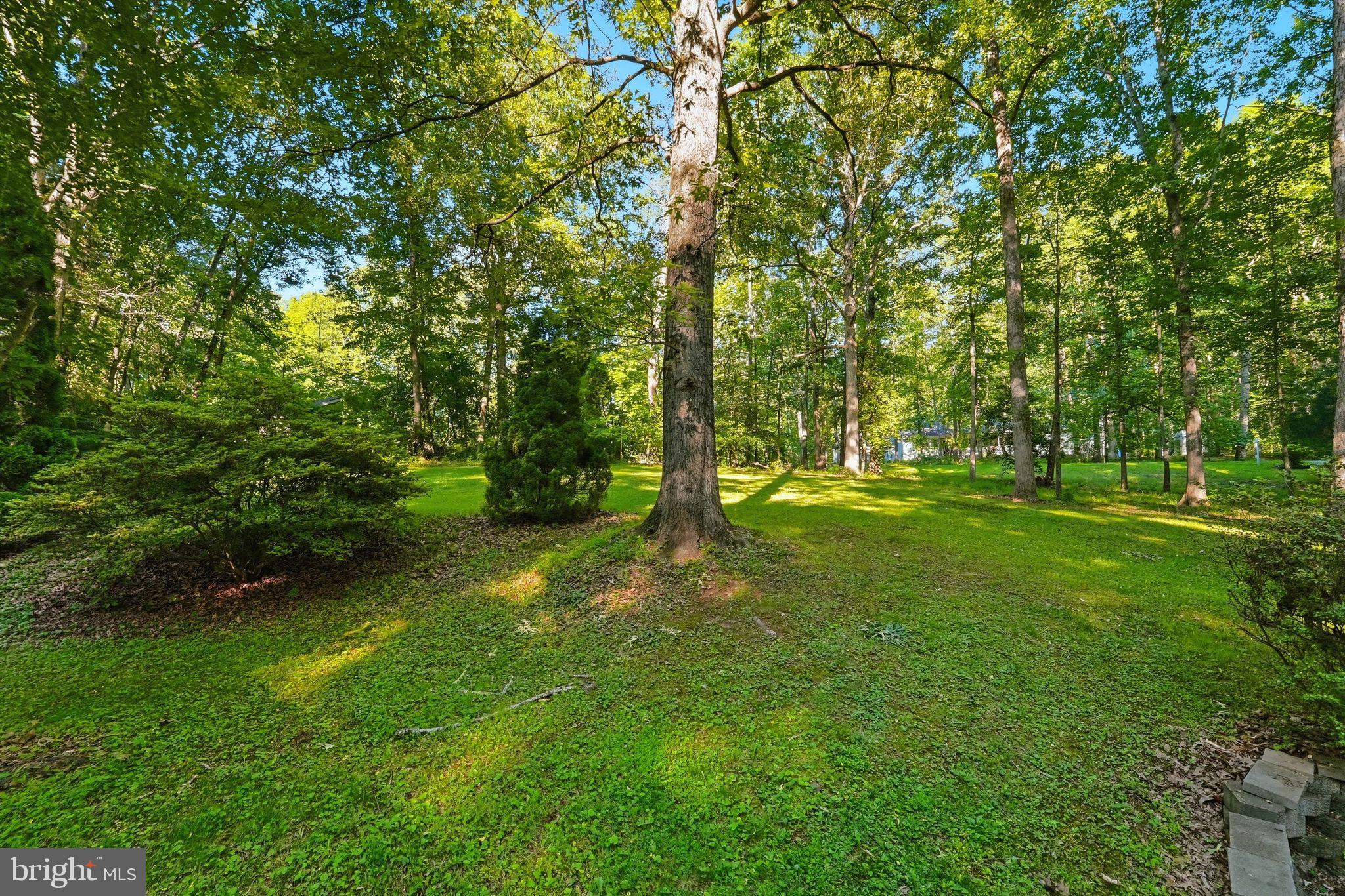 LAKE WILDERNESS - Residential