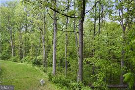 GUNNERS LAKE VILLAGE - Residential