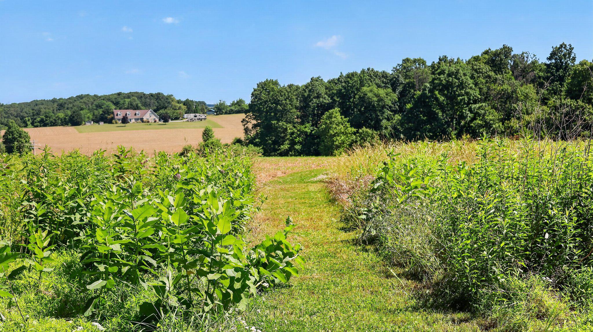 EAST HOPEWELL TWP - Residential