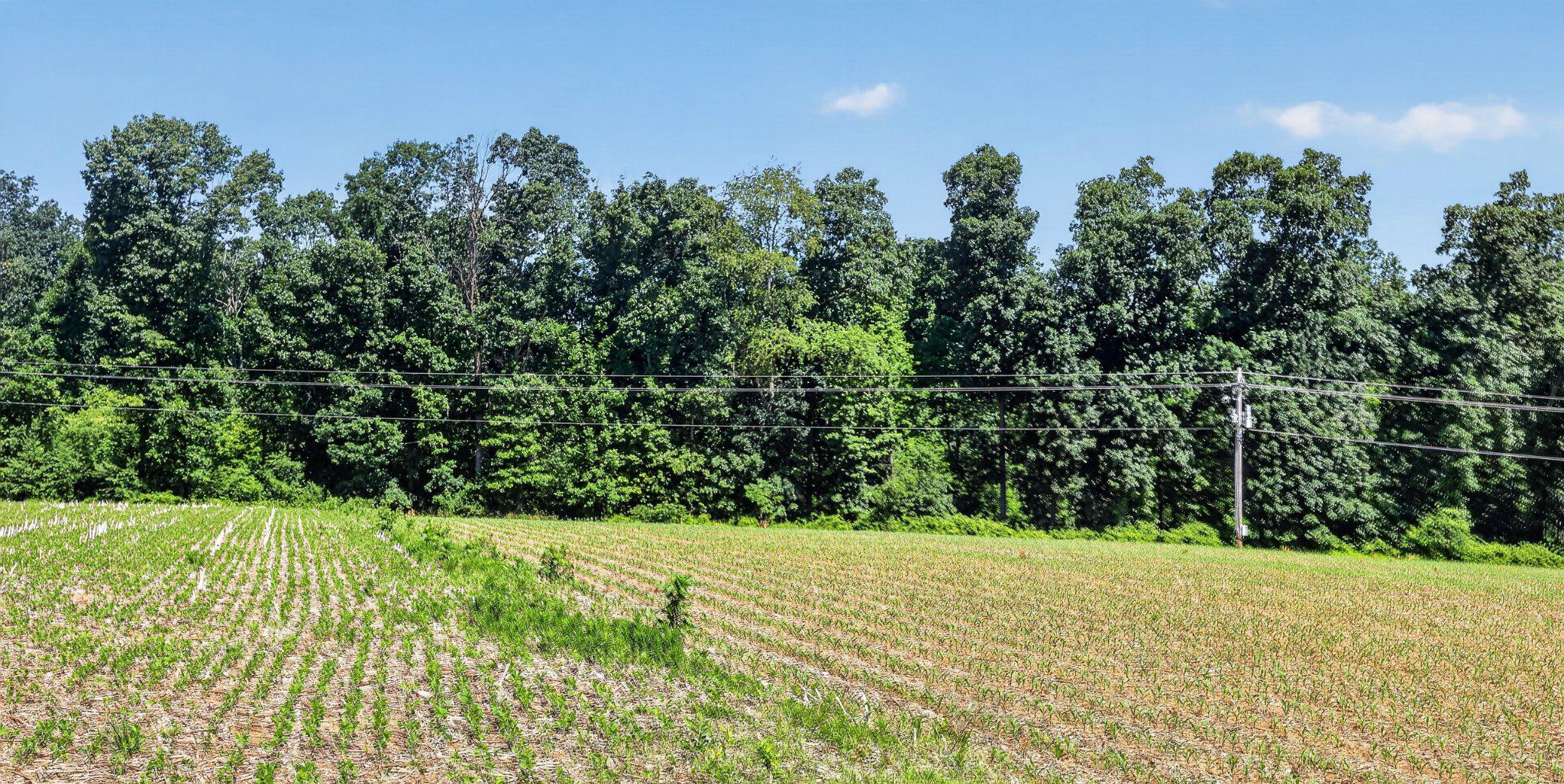 EAST HOPEWELL TWP - Residential