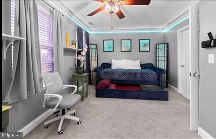 CANTON MILLS - Residential