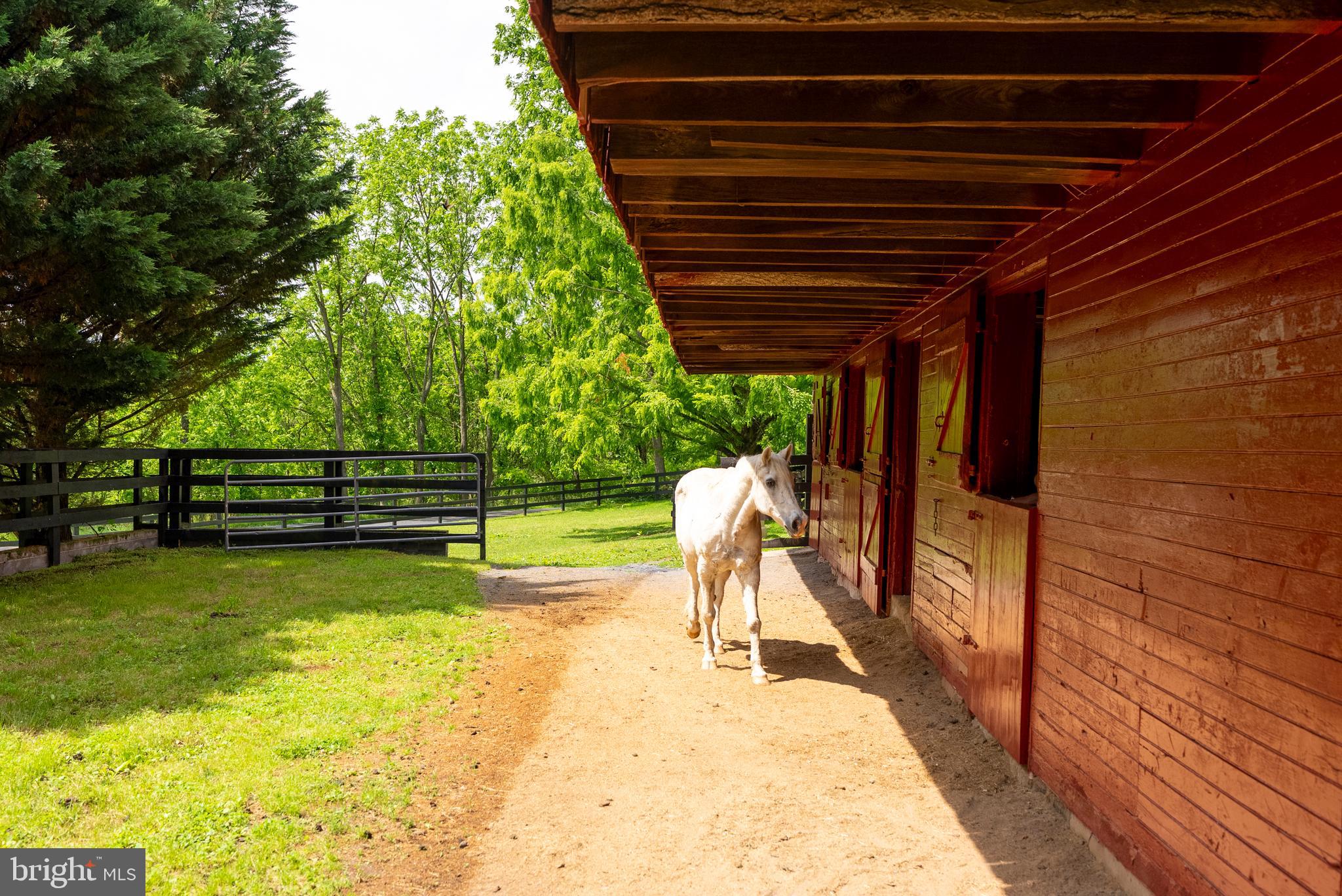 HAMPSTEAD - Farm