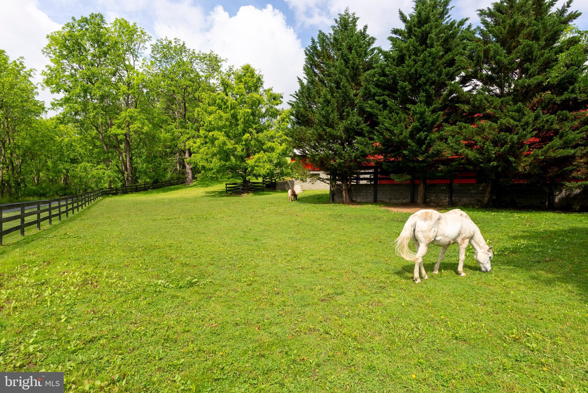 HAMPSTEAD - Farm