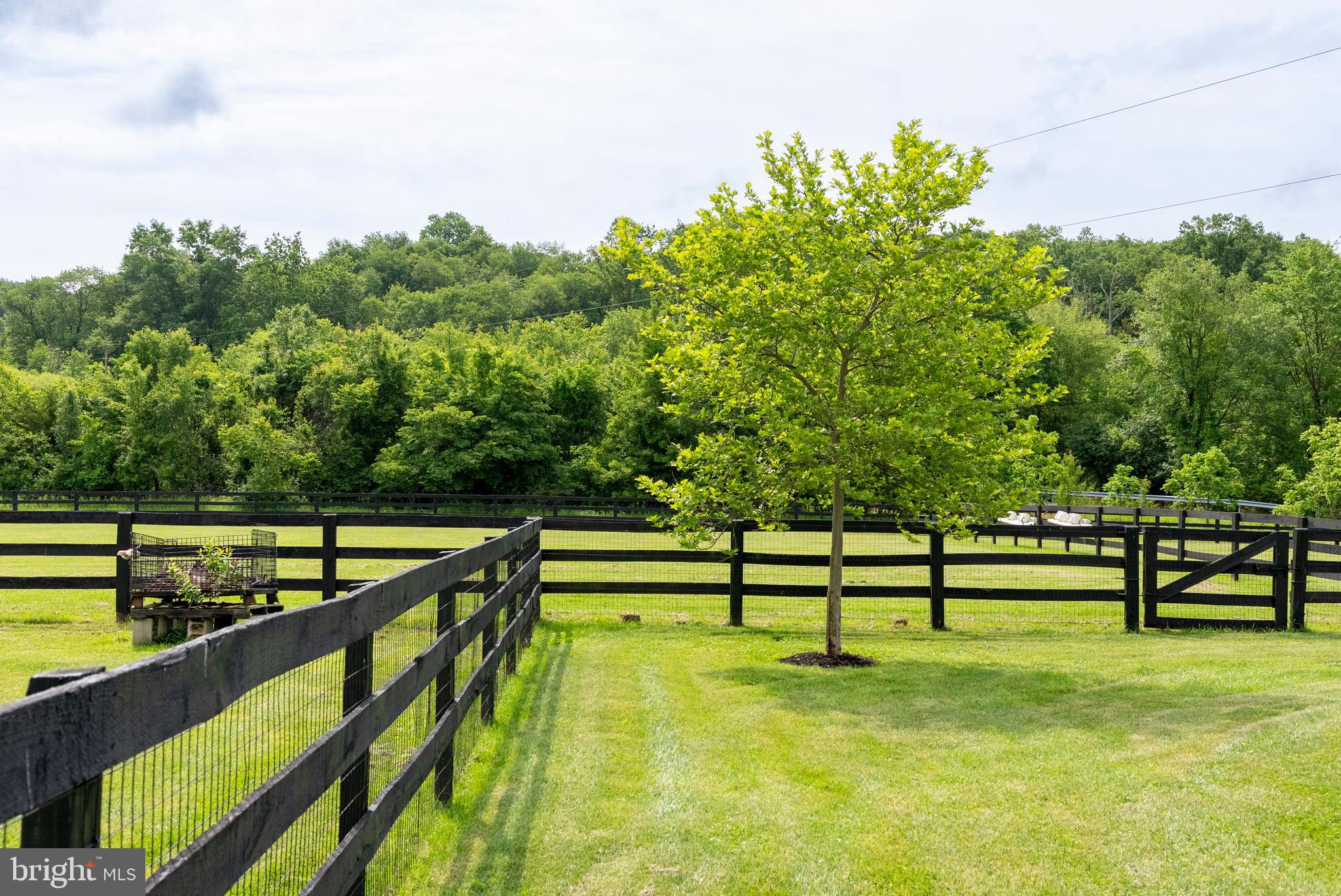 HAMPSTEAD - Farm