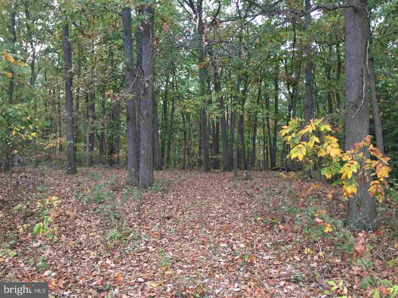 Build you dream home on the wooded lot and overlook the 18th hole at Pleasant Valley Golf Course.  Private setting with mature trees and lot is level just waiting for your dream home. Estate sale, sellers are not 100% sure of perc results, but lot has a well.