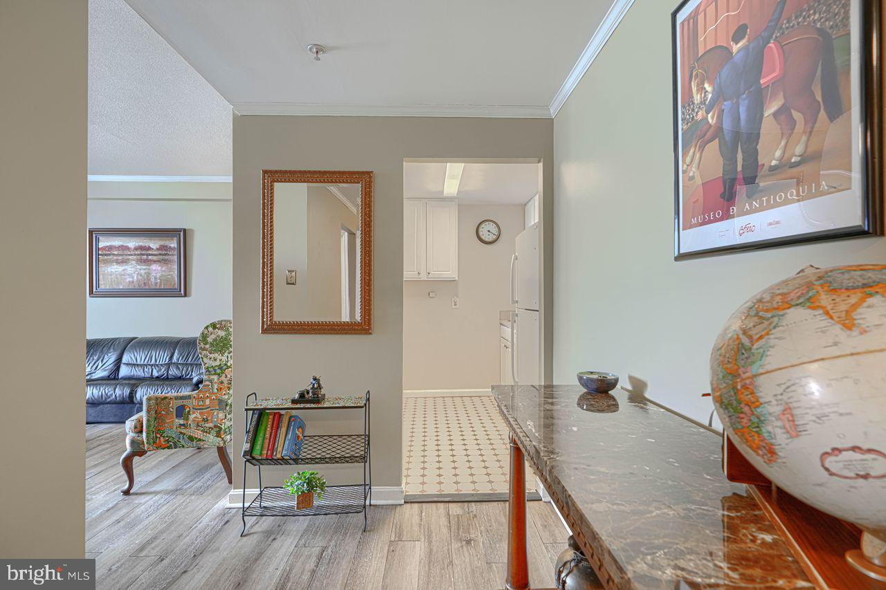 PENTHOUSE CONDOMINIUMS - Residential