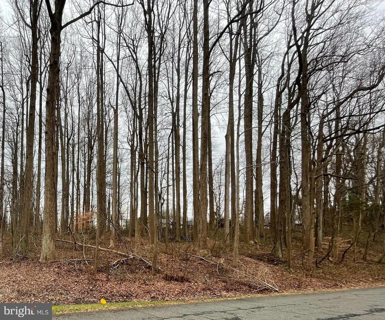 .59 Acres in the established community of "Chesapeake Heights" which is located in Prince Frederick.  Close to the Chesapeake Bay as well as shopping, movie theaters and restaurants. Optional HOA
