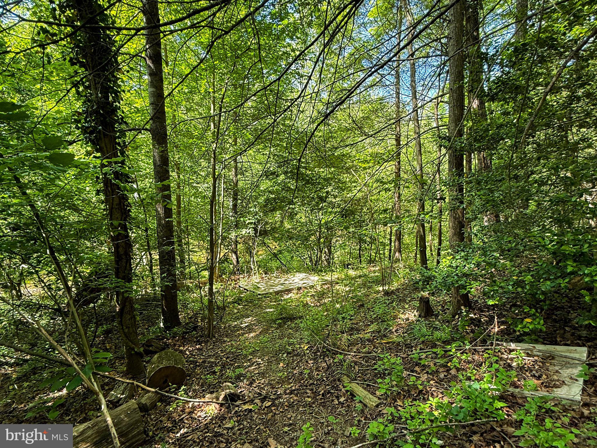 GLENWOOD FOREST - Land