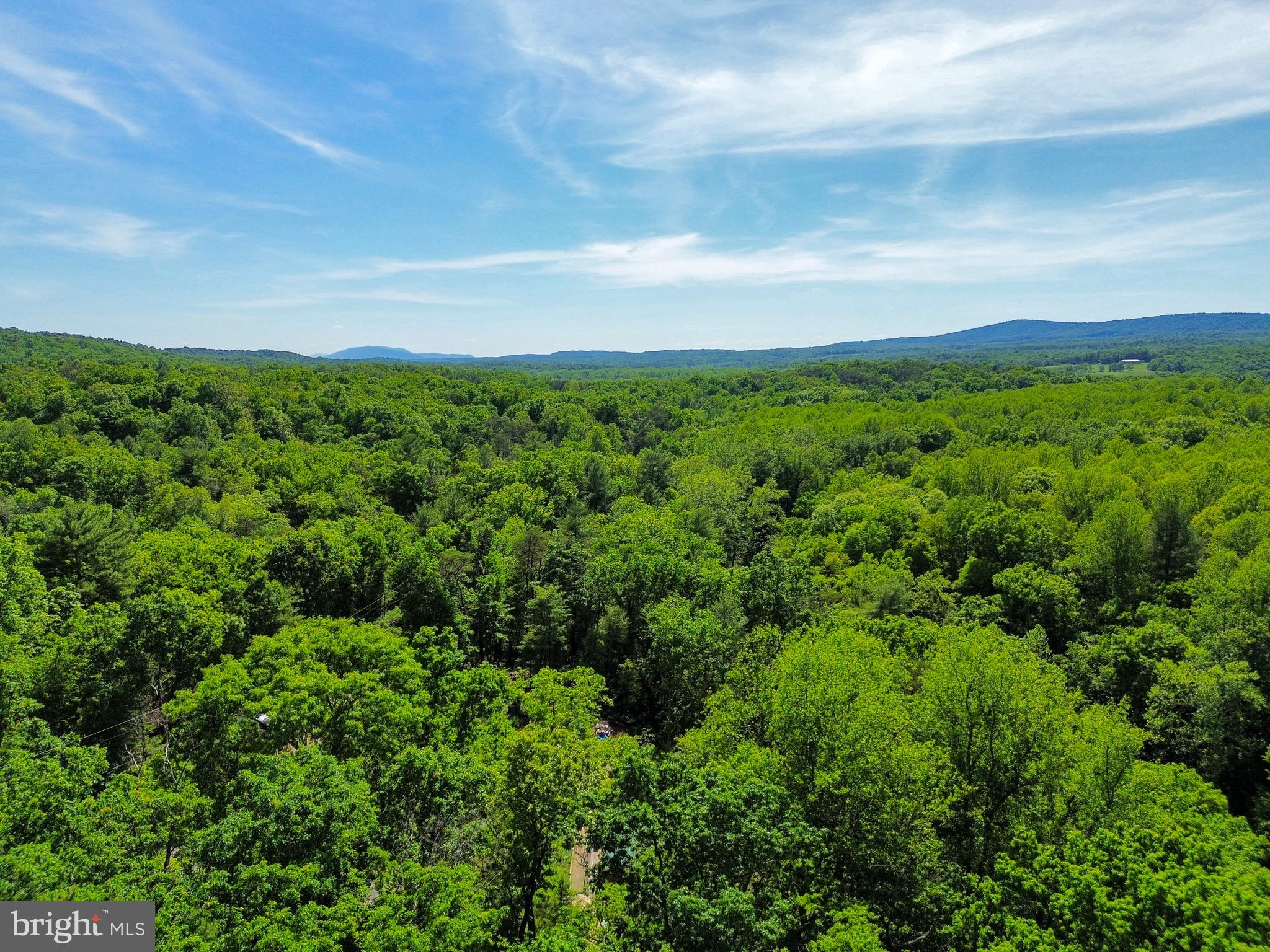 GLENWOOD FOREST - Land